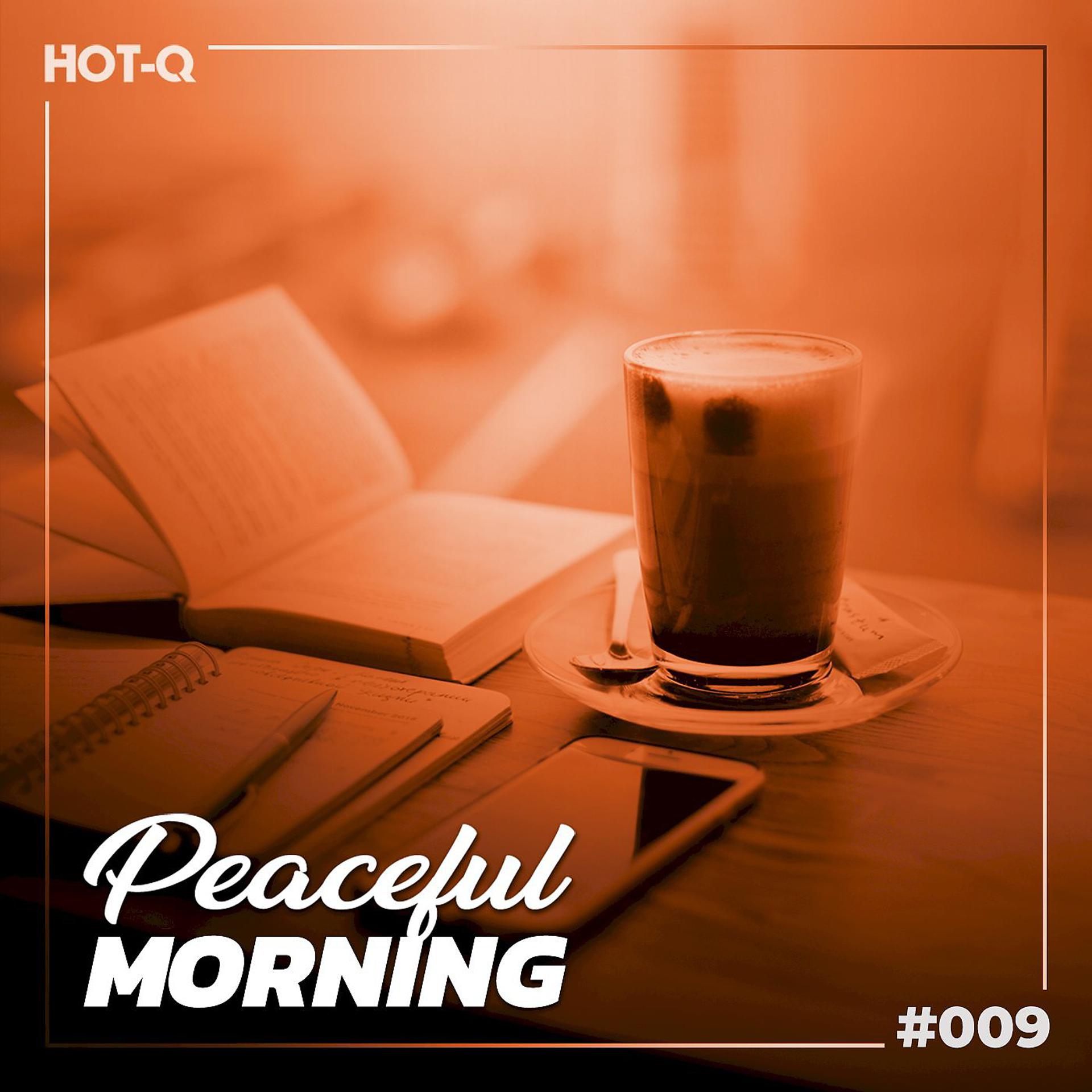 Постер альбома Peaceful Morning 009