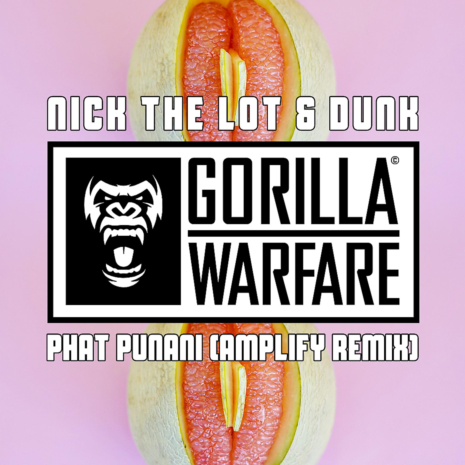 Постер альбома Phat Punani (Amplify Remix)