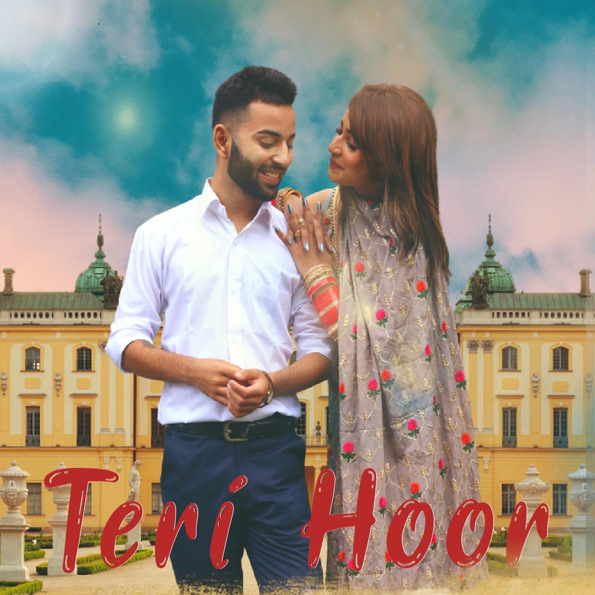 Постер альбома Teri Hoor