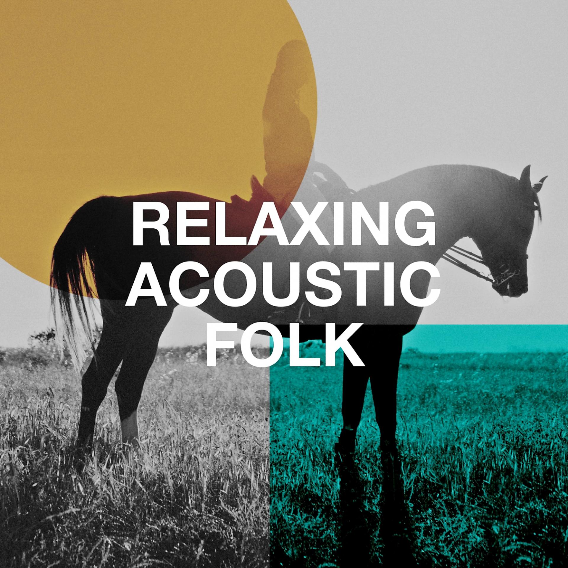 Постер альбома Relaxing Acoustic Folk