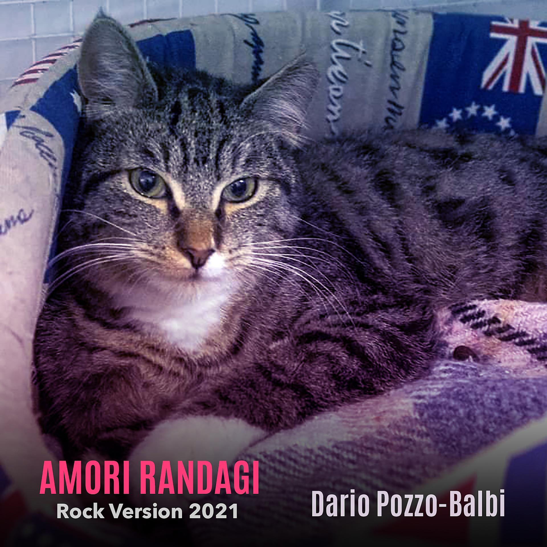 Постер альбома Amori Randagi