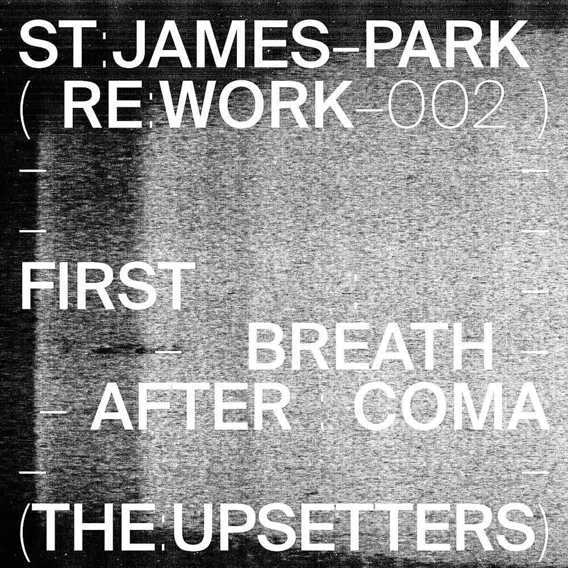 Постер альбома The Upsetters (St. James Park Remix)