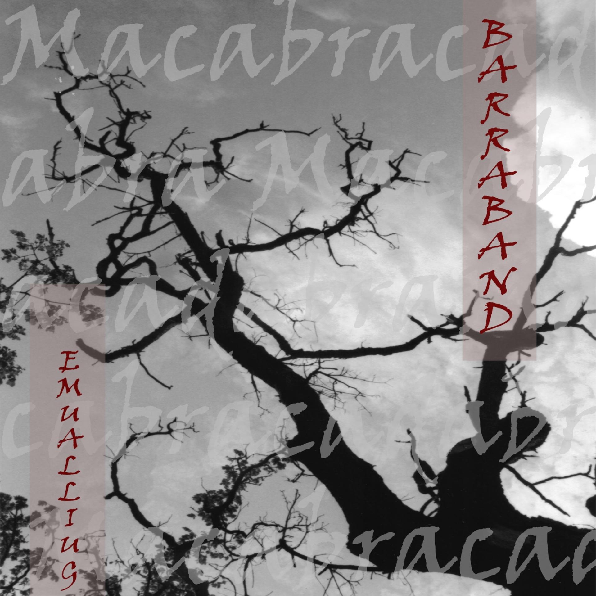 Постер альбома Macabracadabra