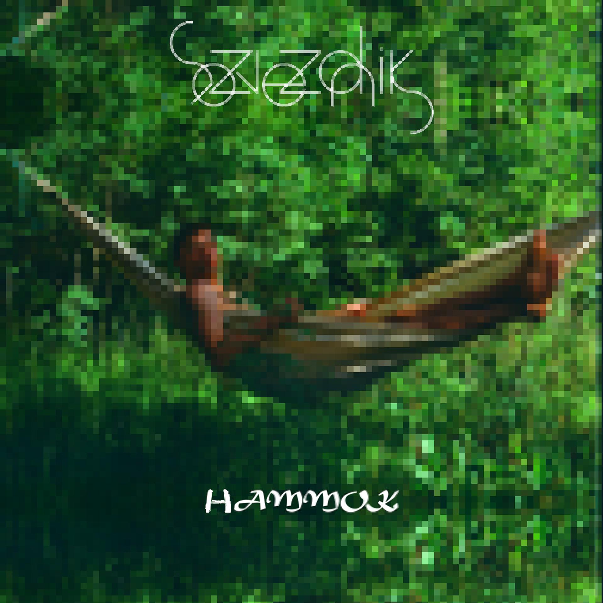 Постер альбома Hammok