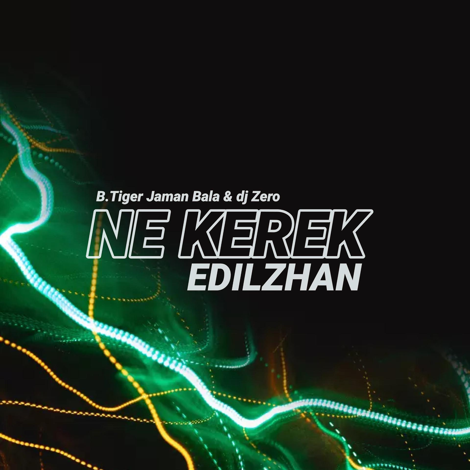 Постер альбома Ne Kerek