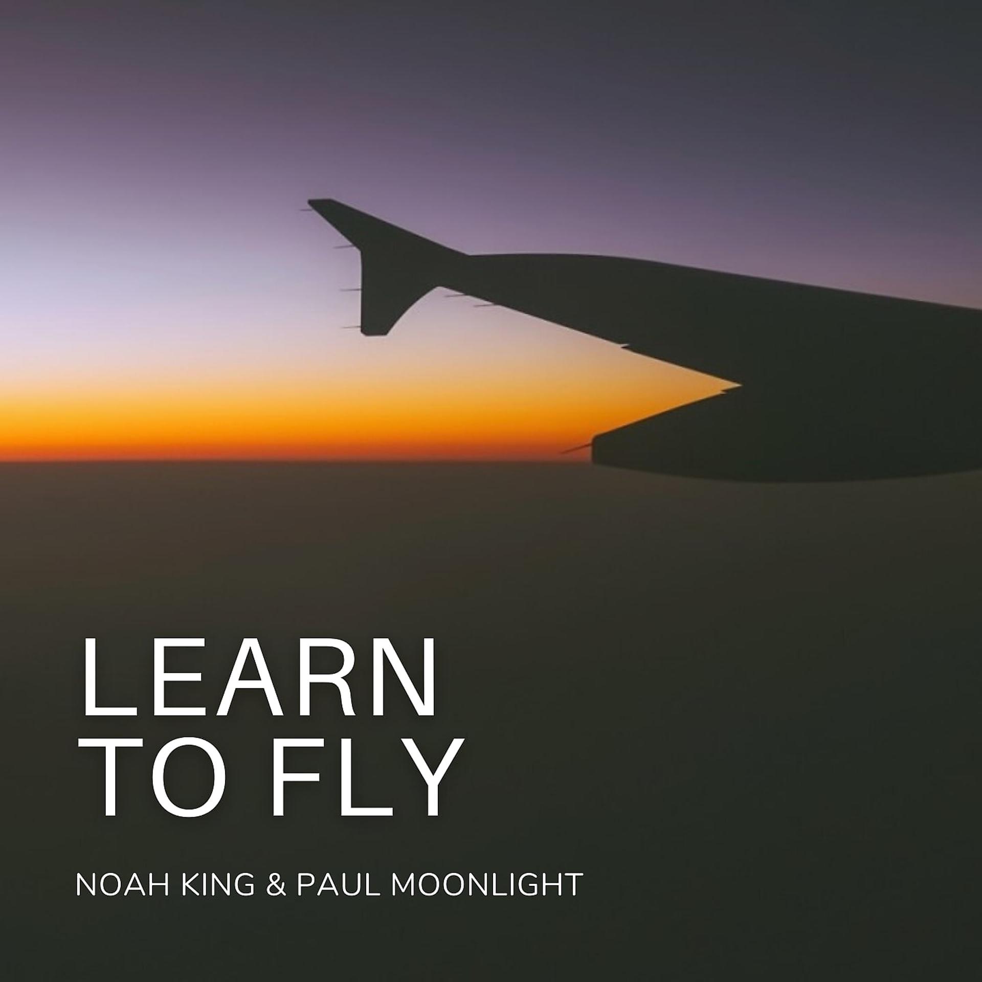 Постер альбома Learn to Fly