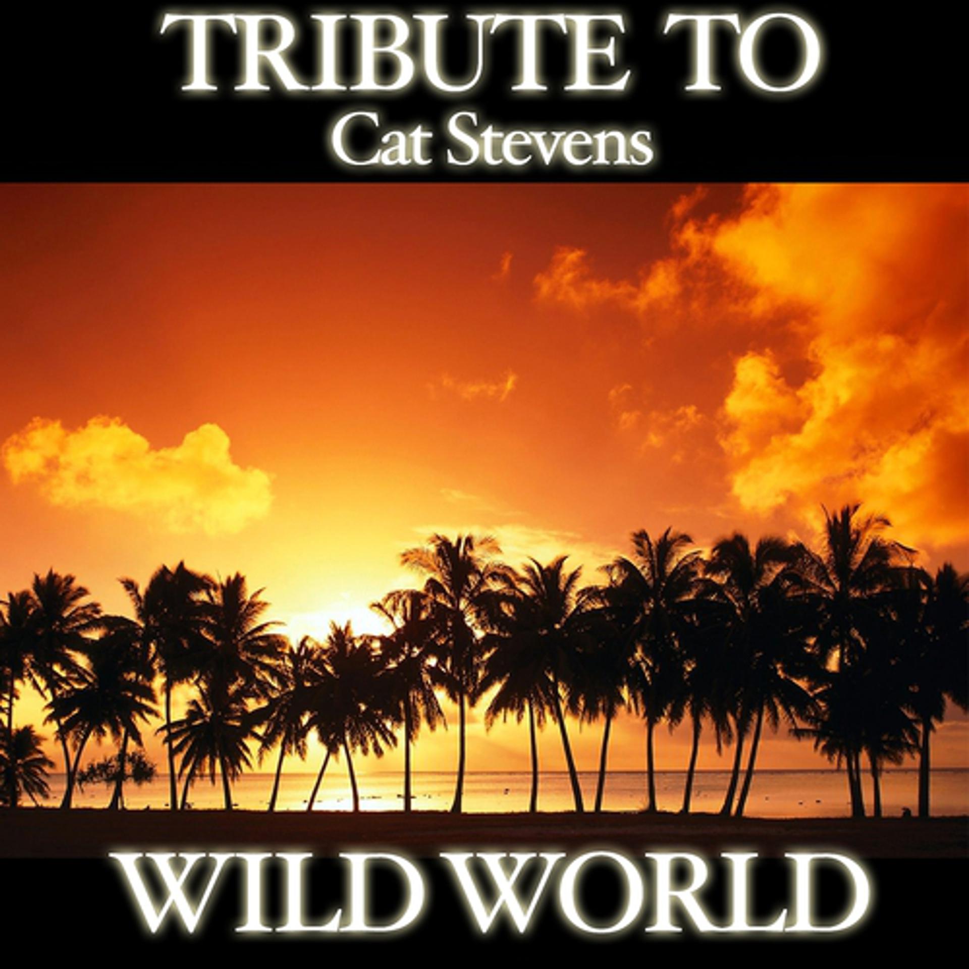 Постер альбома Wild World: Tribute to Cat Stevens