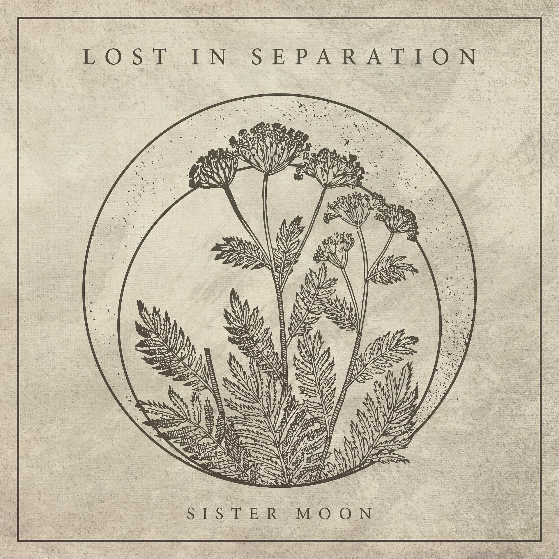 Sister moon. Lost in Separation. Lost in Separation Band. Lost in Separation Deathwish.