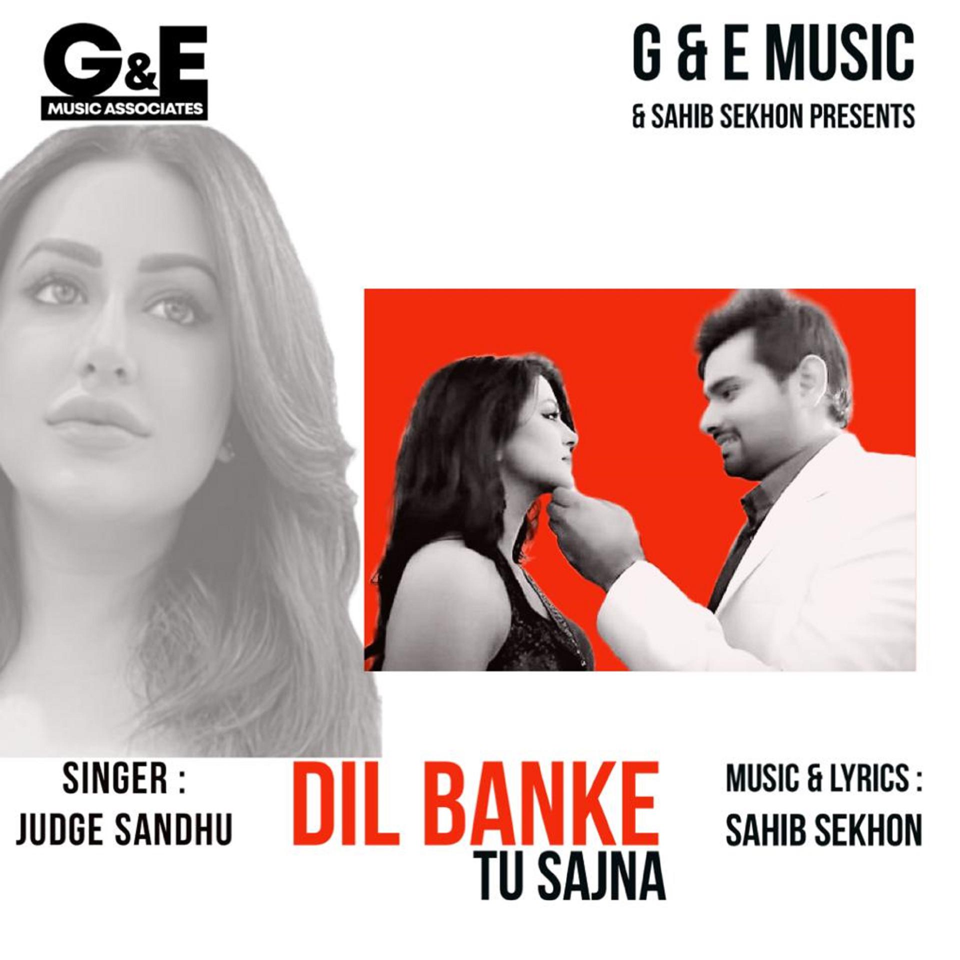 Постер альбома Dil Banke