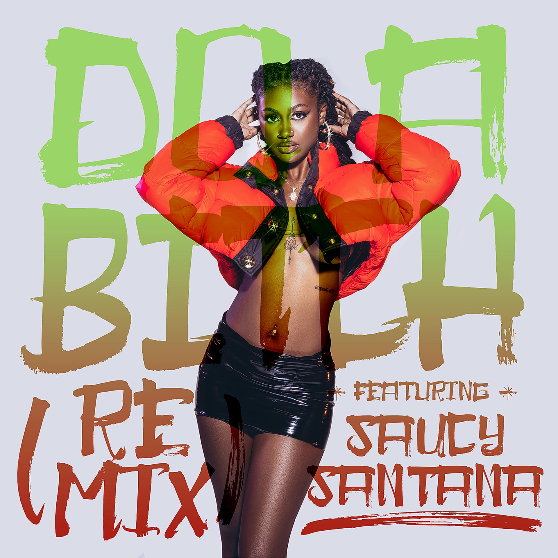 Постер альбома Do A Bitch (Remix) [feat. Saucy Santana]