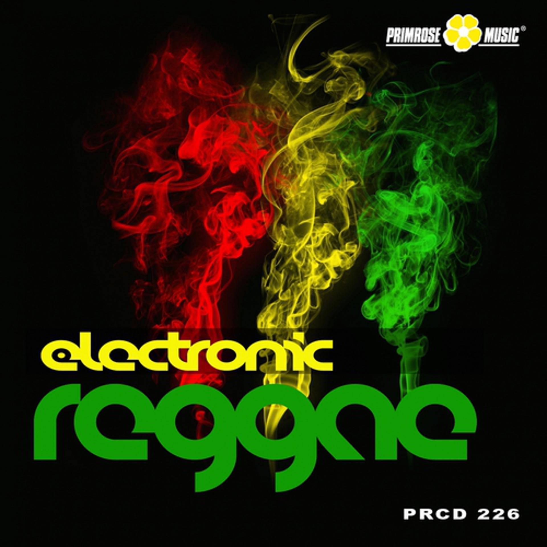 Постер альбома Electronic Reggae