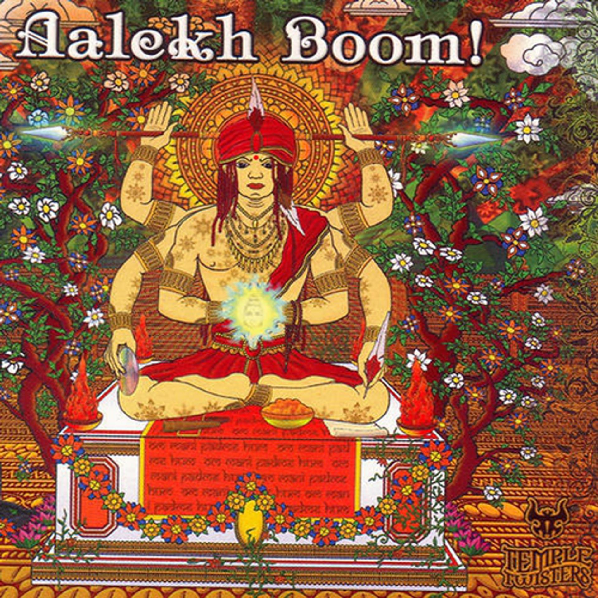 Постер альбома Aalekh Boom