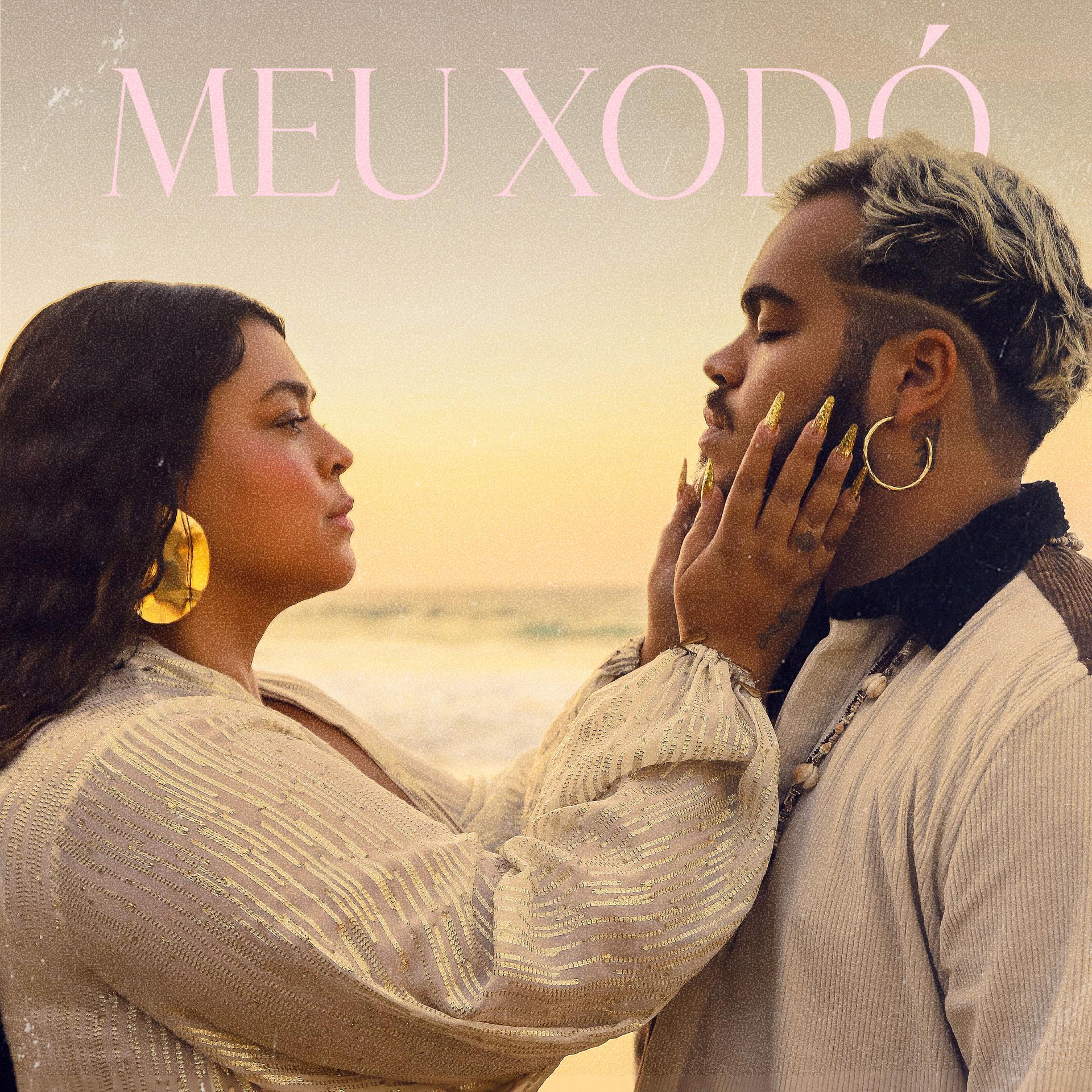 Постер альбома Meu Xodó