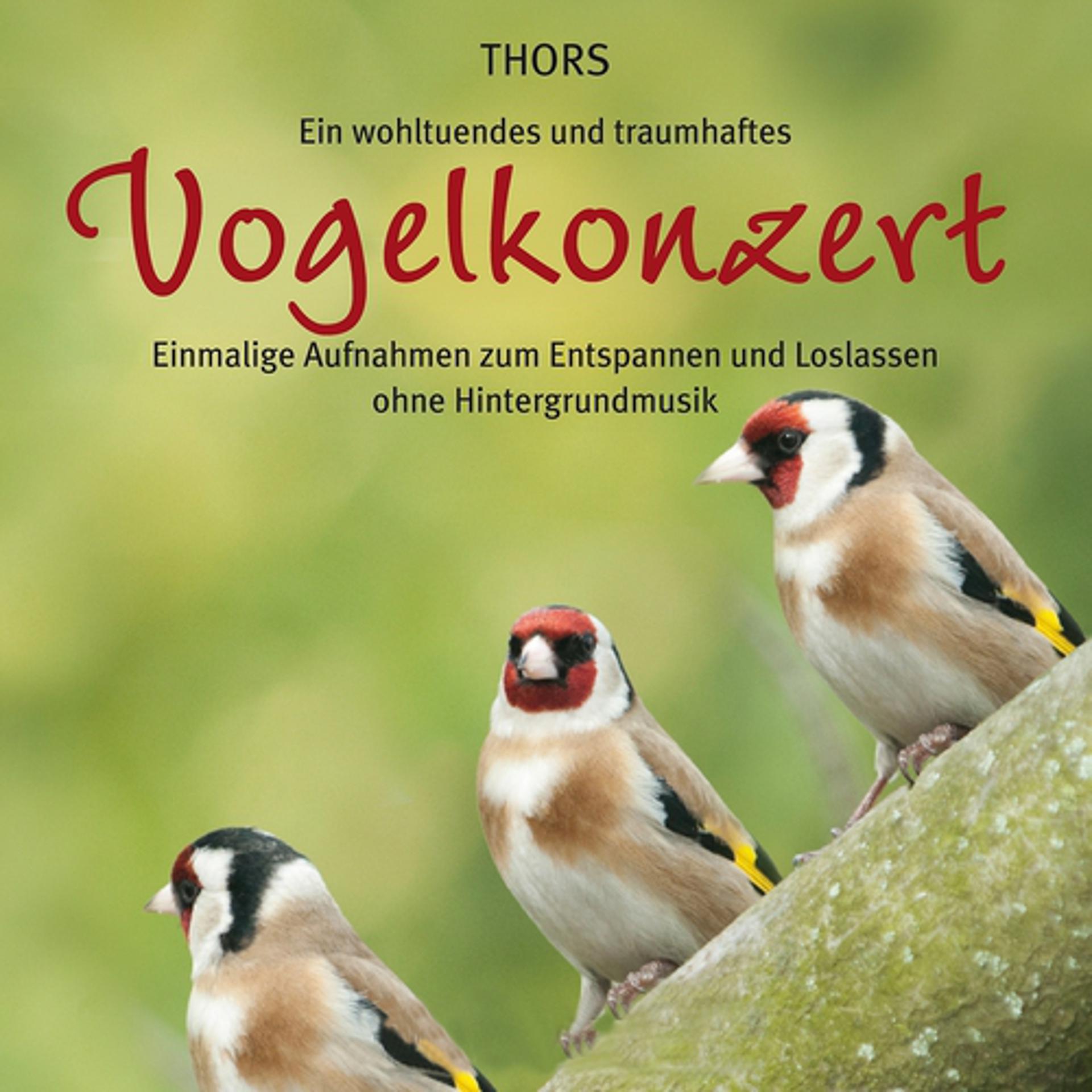 Постер альбома Vogelkonzert: Einmalige Naturaufnahmen zum Entspannen
