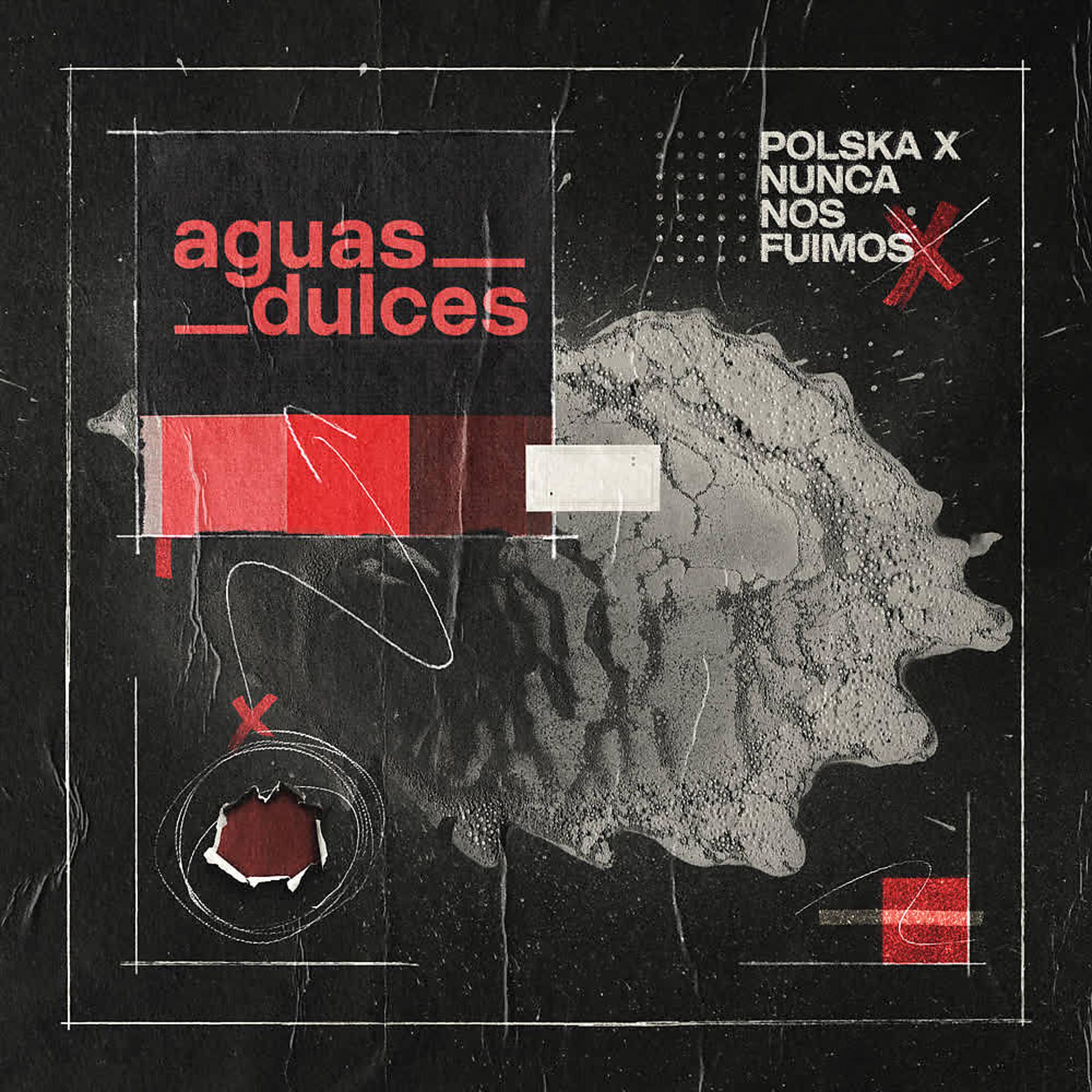 Постер альбома Aguas Dulces
