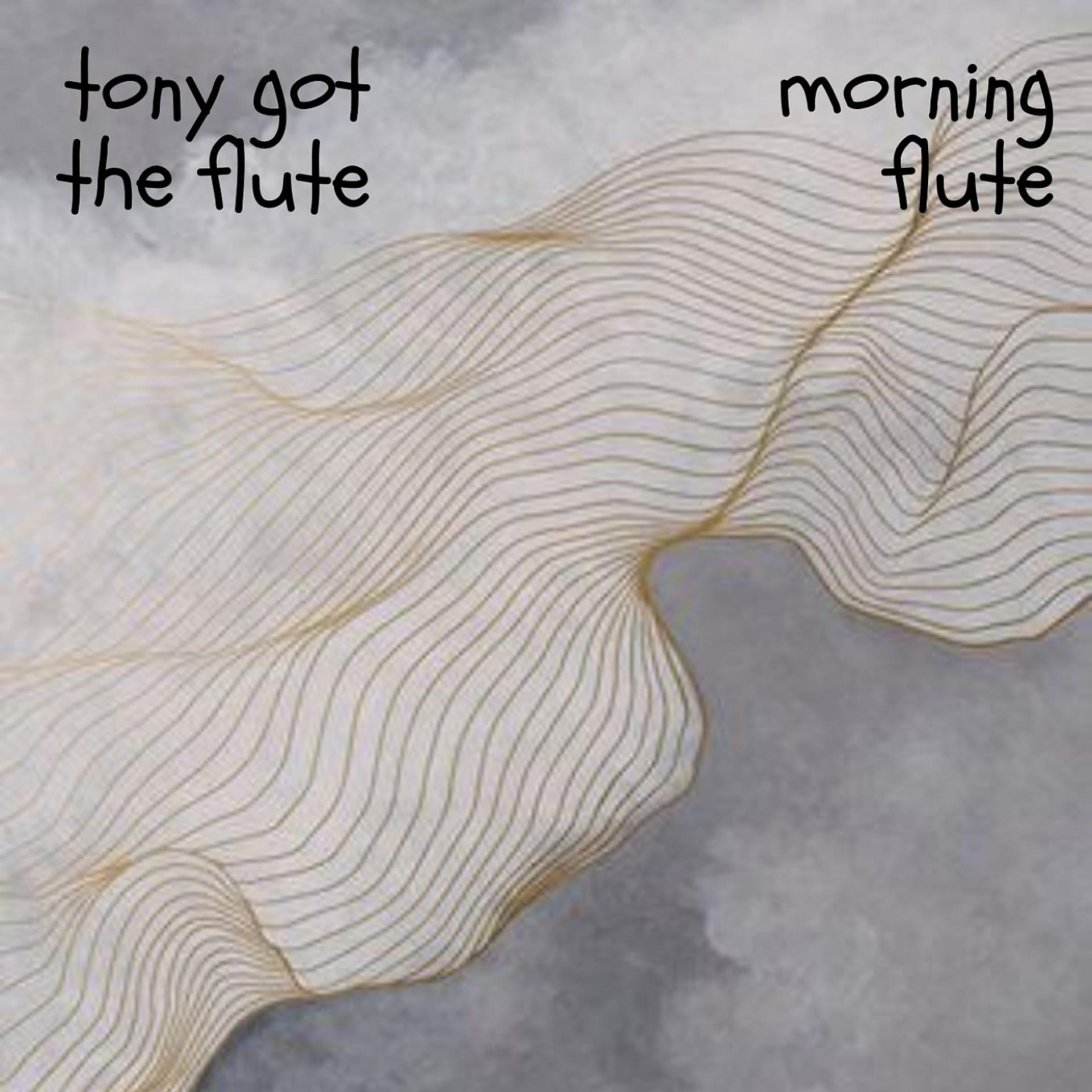 Постер альбома Morning Flute