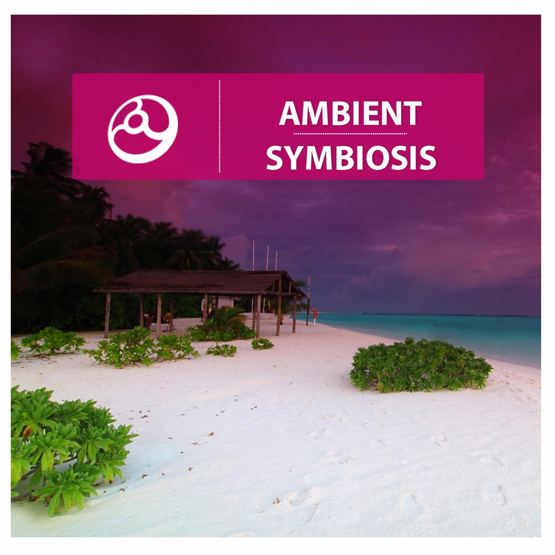 Постер альбома Ambient Symbiosis