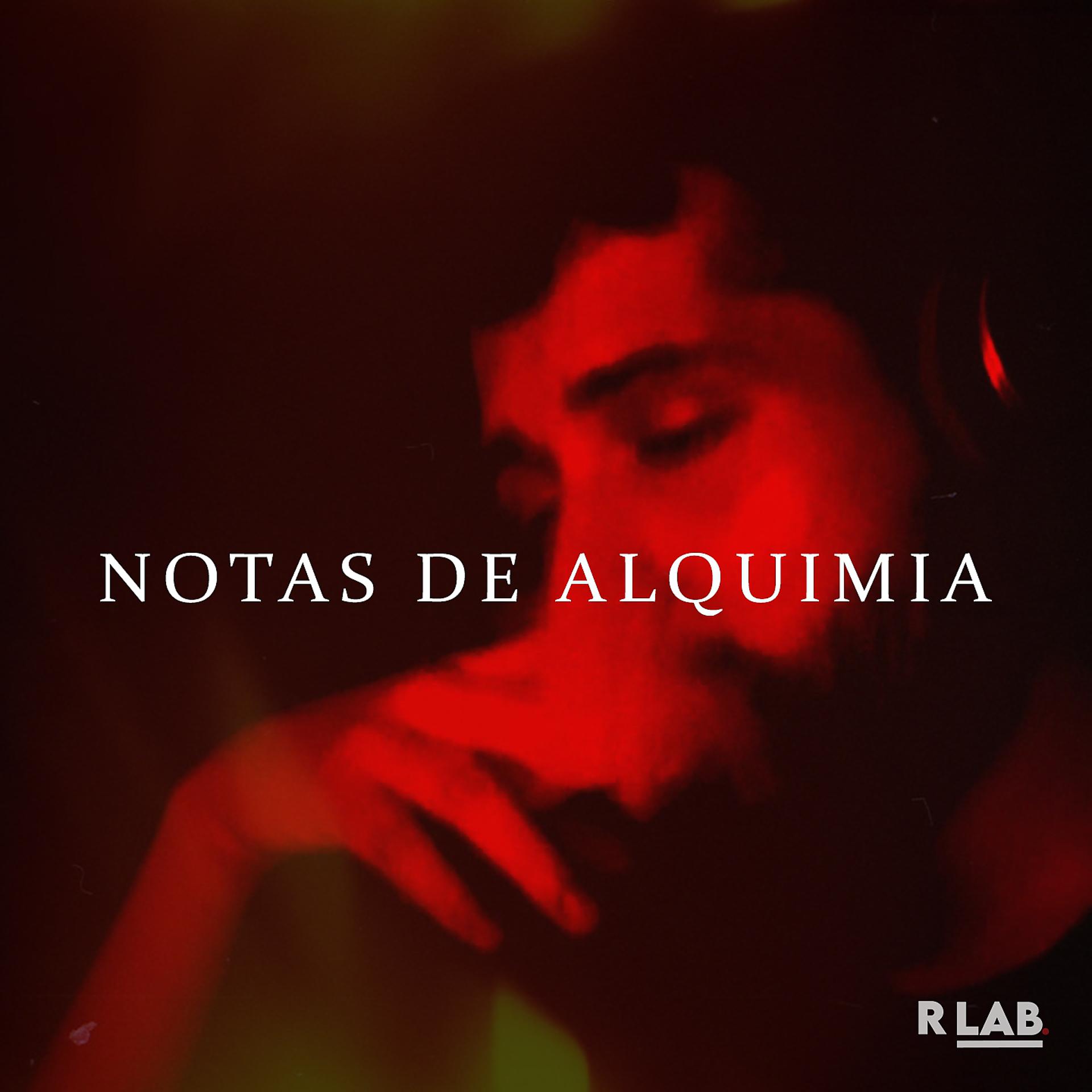 Постер альбома Notas de Alquimia