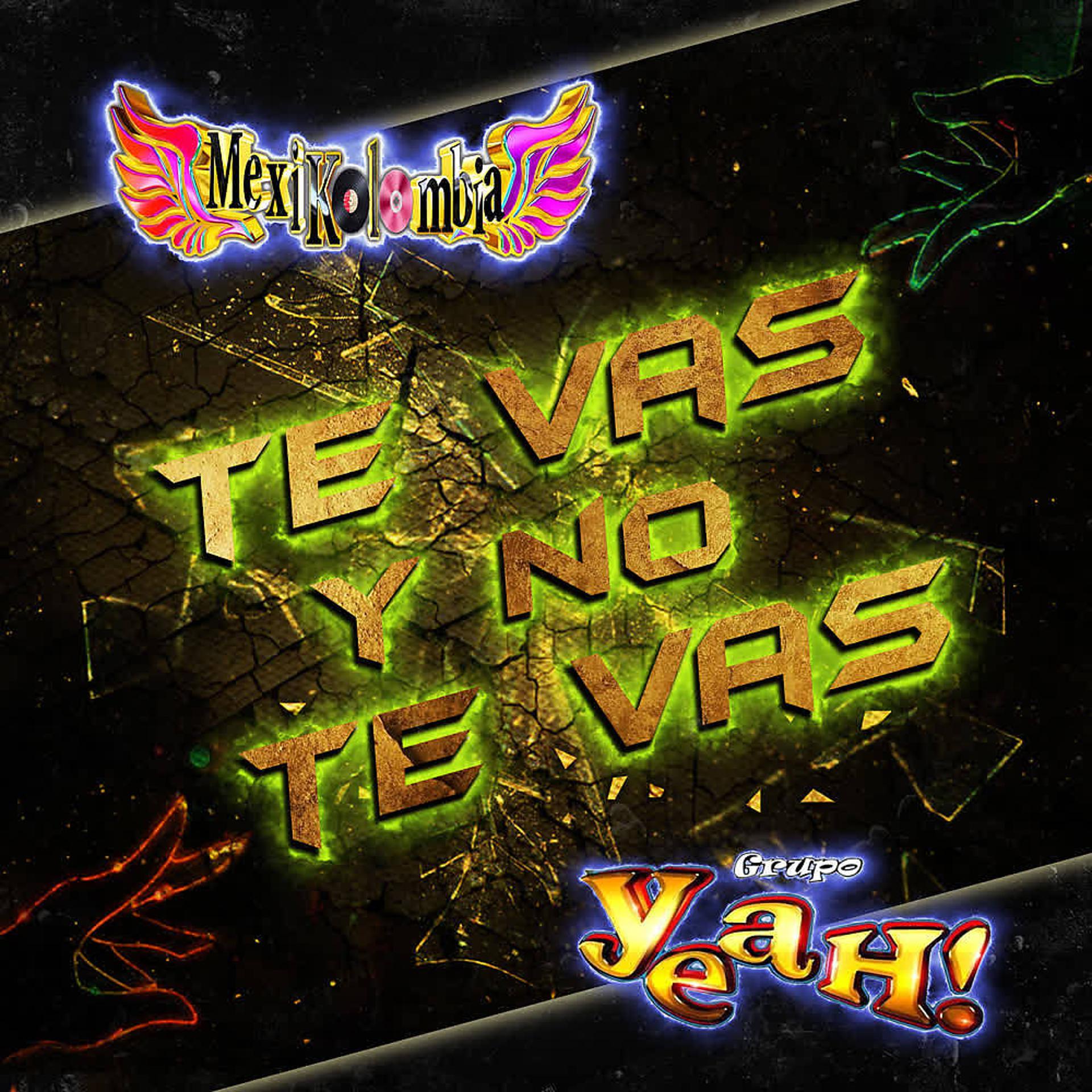 Постер альбома Te Vas y No Te Vas