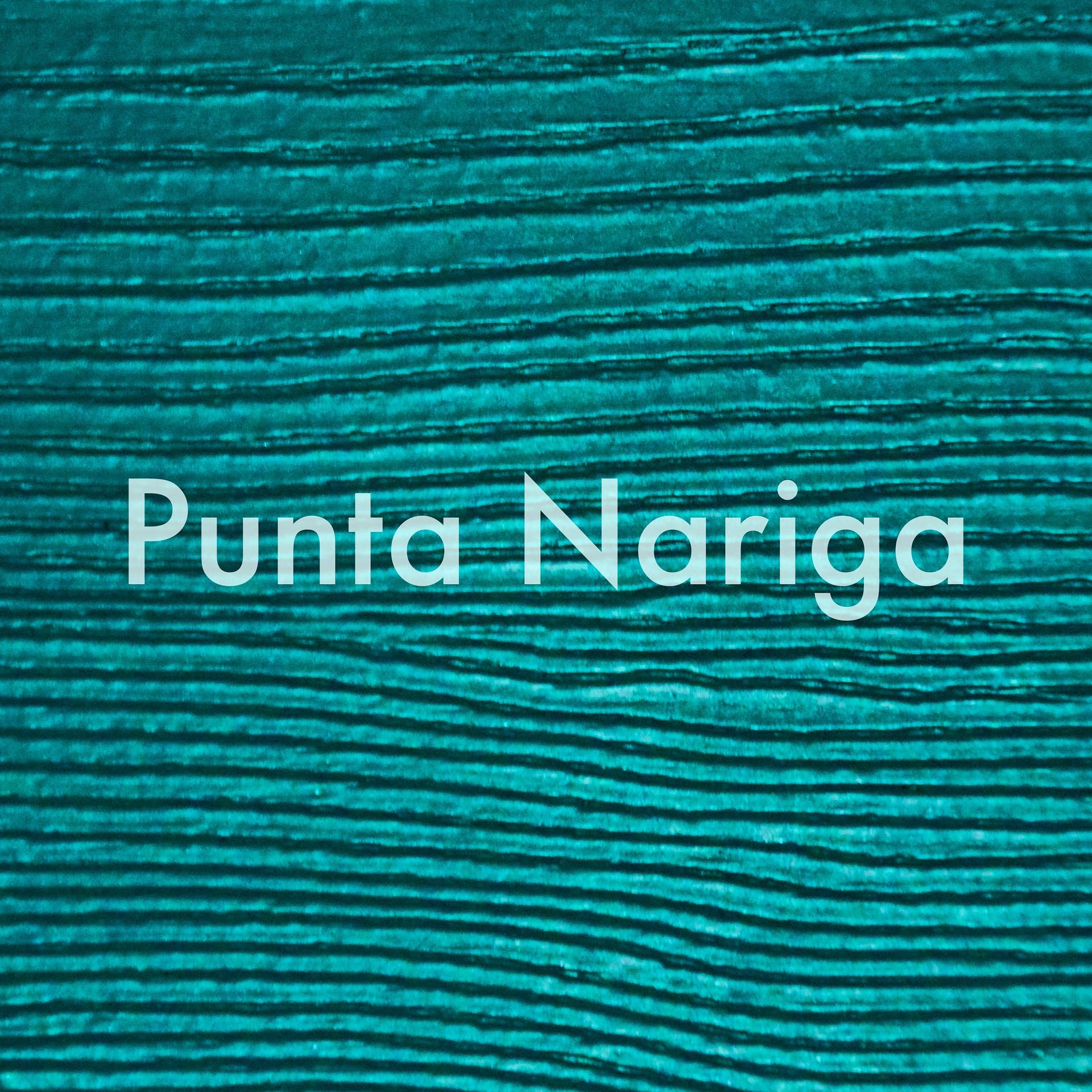 Постер альбома Punta Nariga
