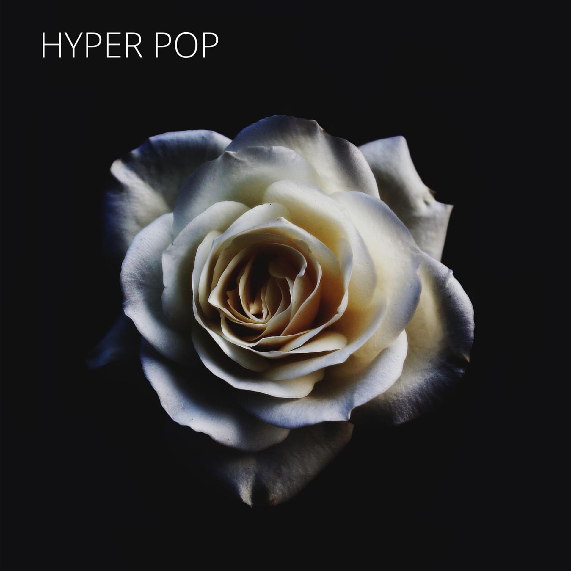 Постер альбома Hyper Pop