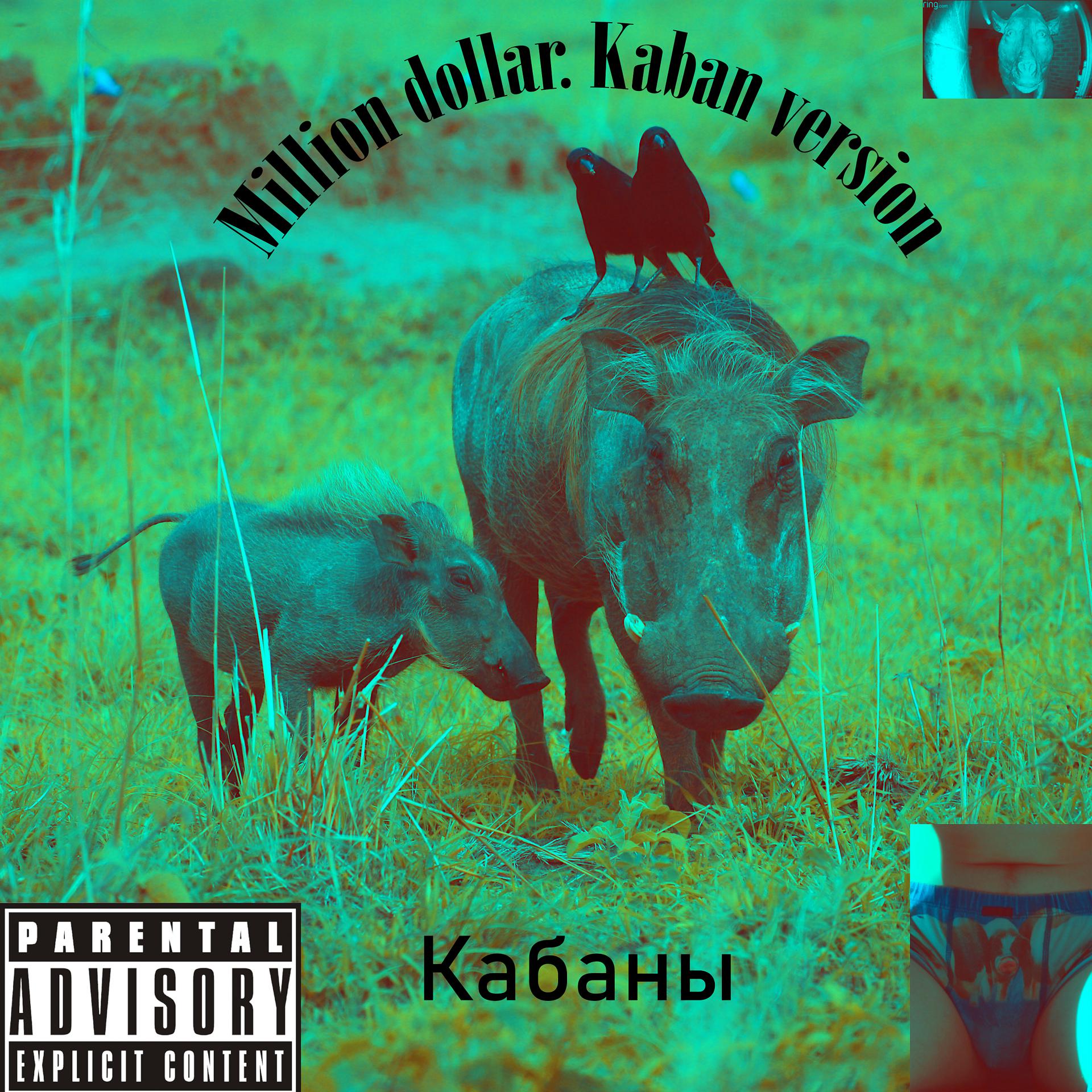 Постер альбома Million Dollar. Kaban Version