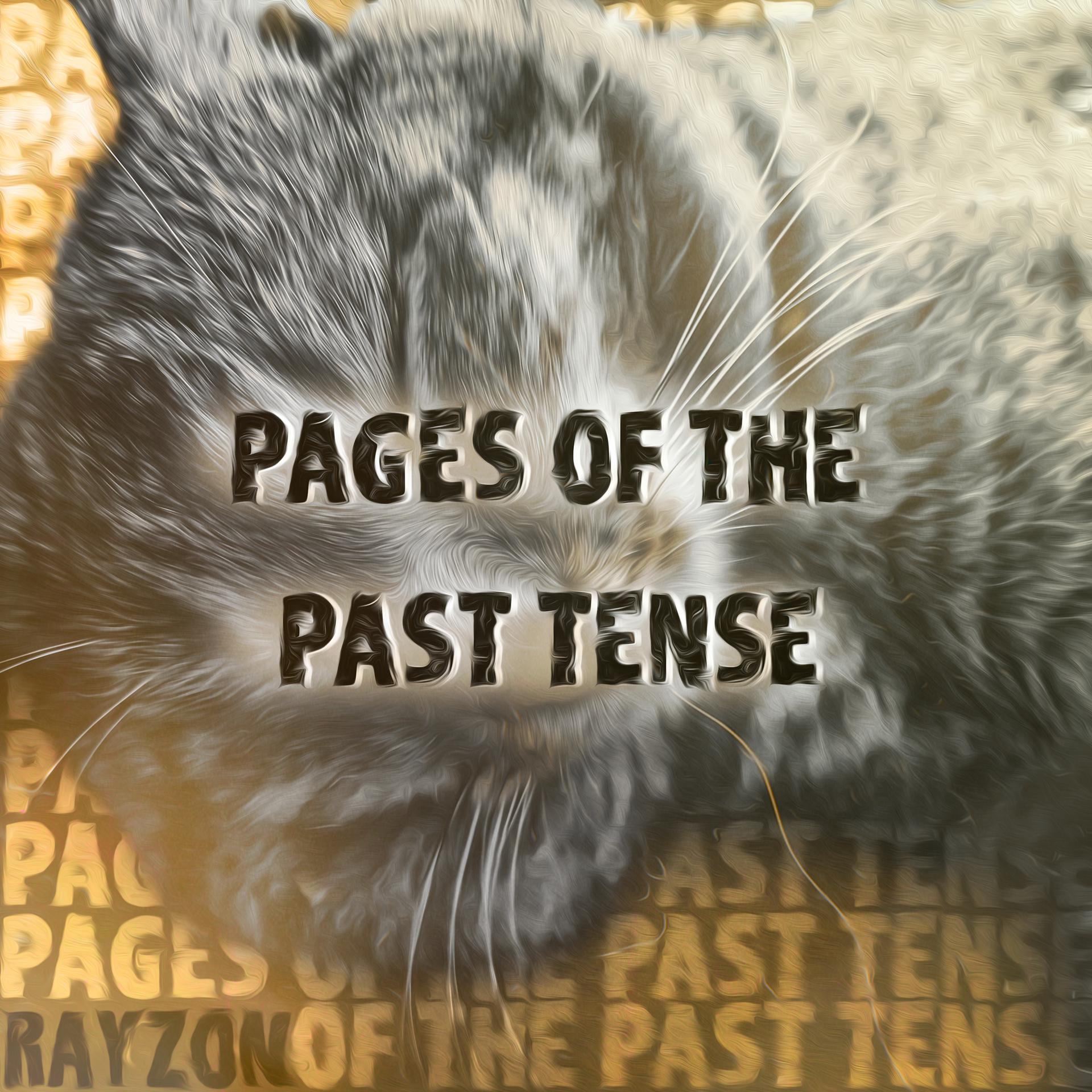 Постер альбома Pages of the Past Tense