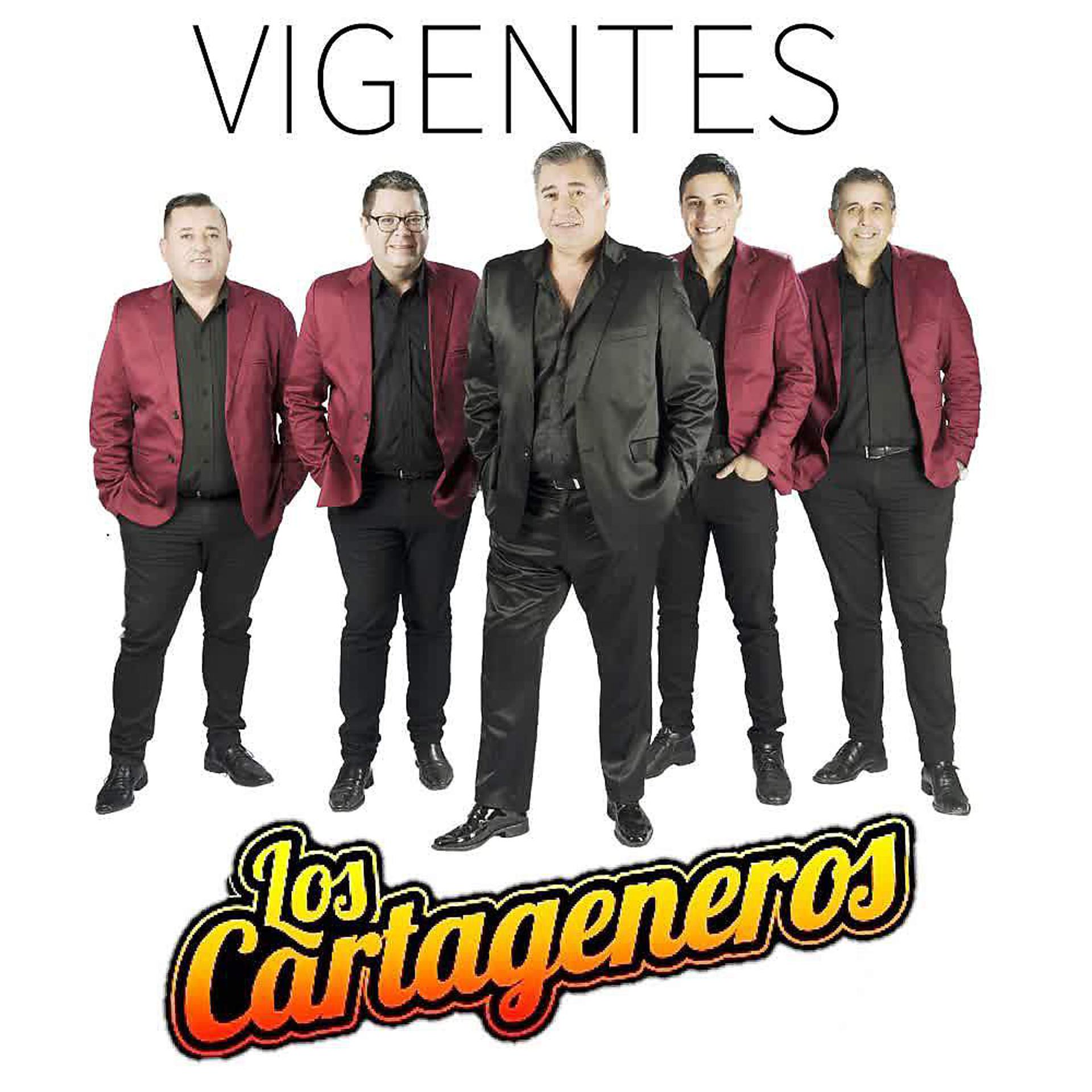 Постер альбома Vigentes