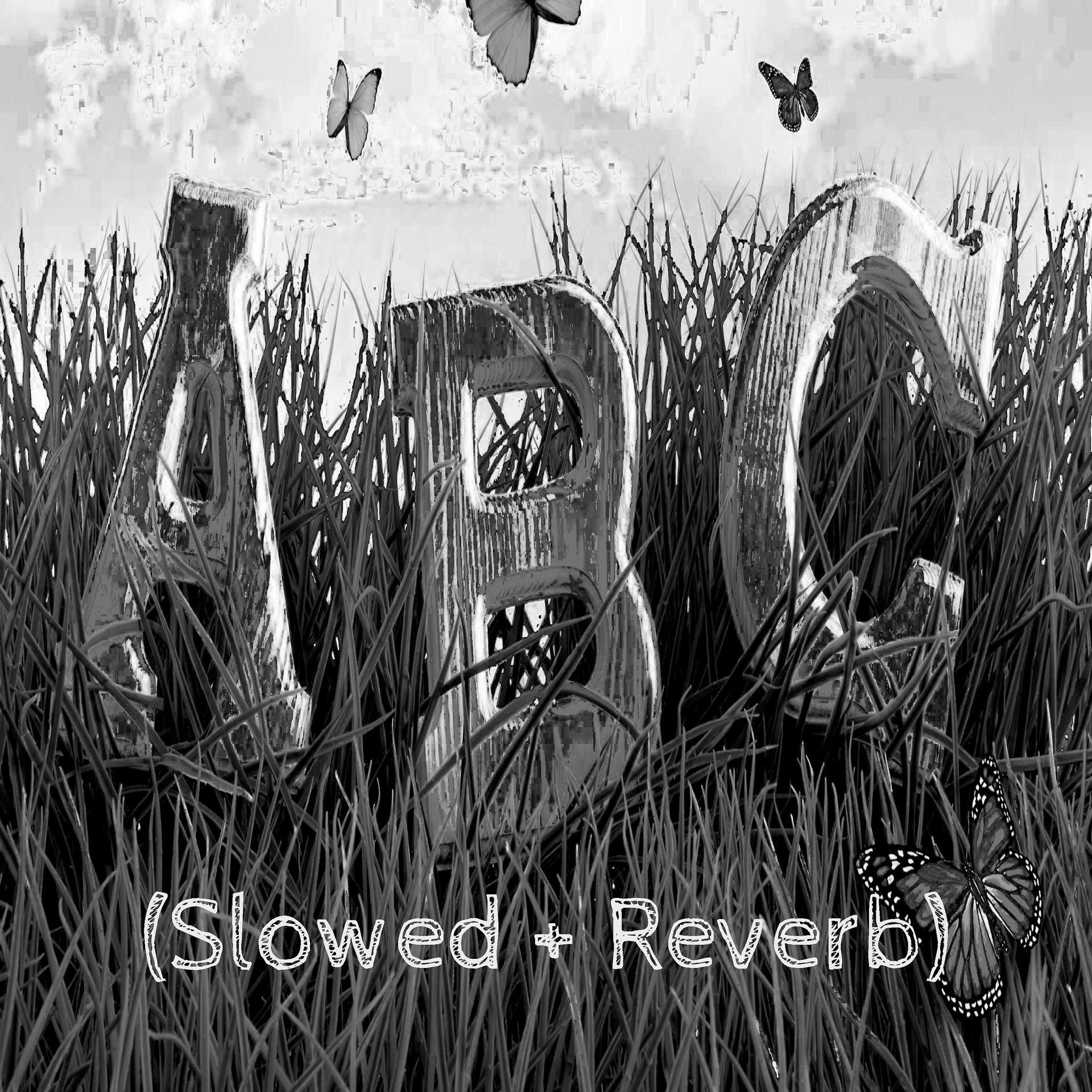 Постер альбома Abc (Slowed + Reverb)