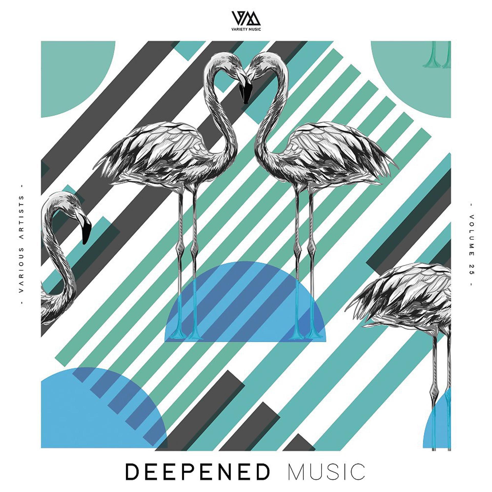 Постер альбома Deepened Music, Vol. 25