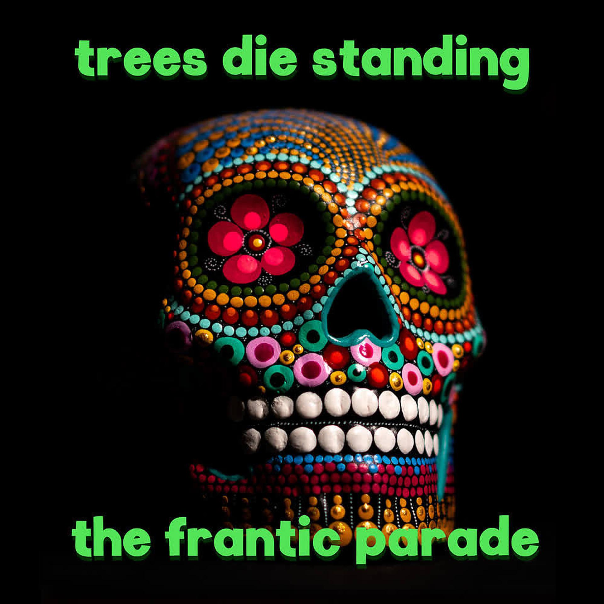 Постер альбома The Frantic Parade
