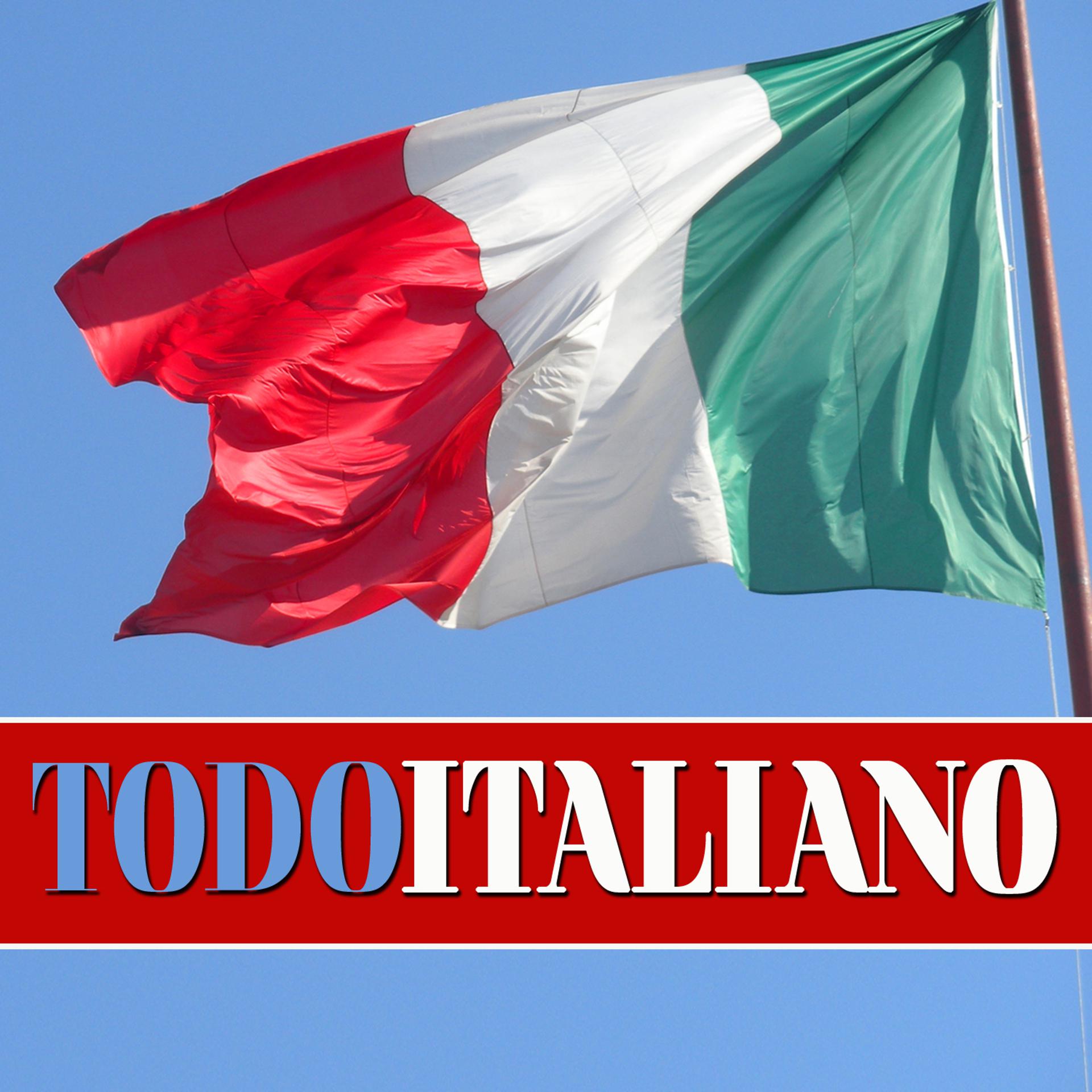 Постер альбома Todo Italiano