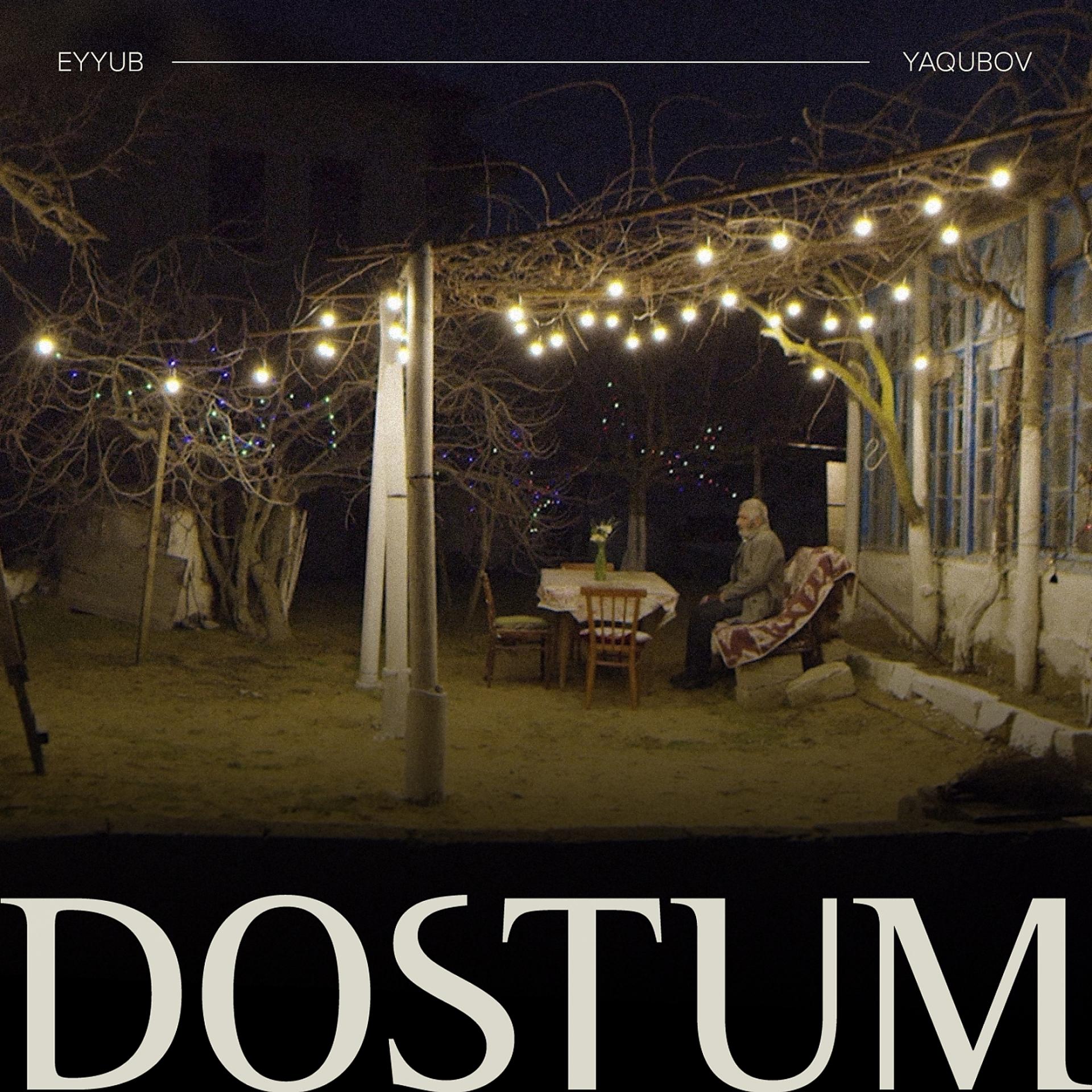Постер альбома Dostum