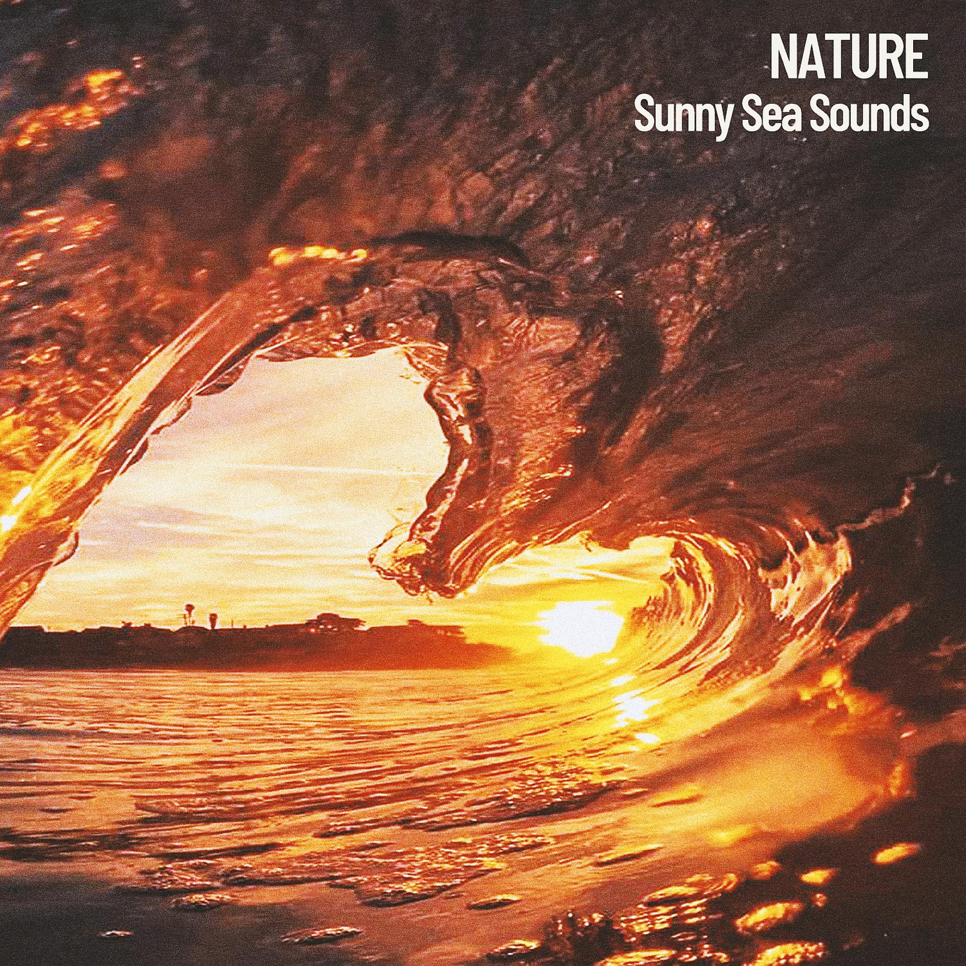 Постер альбома Nature: Sunny Sea Sounds