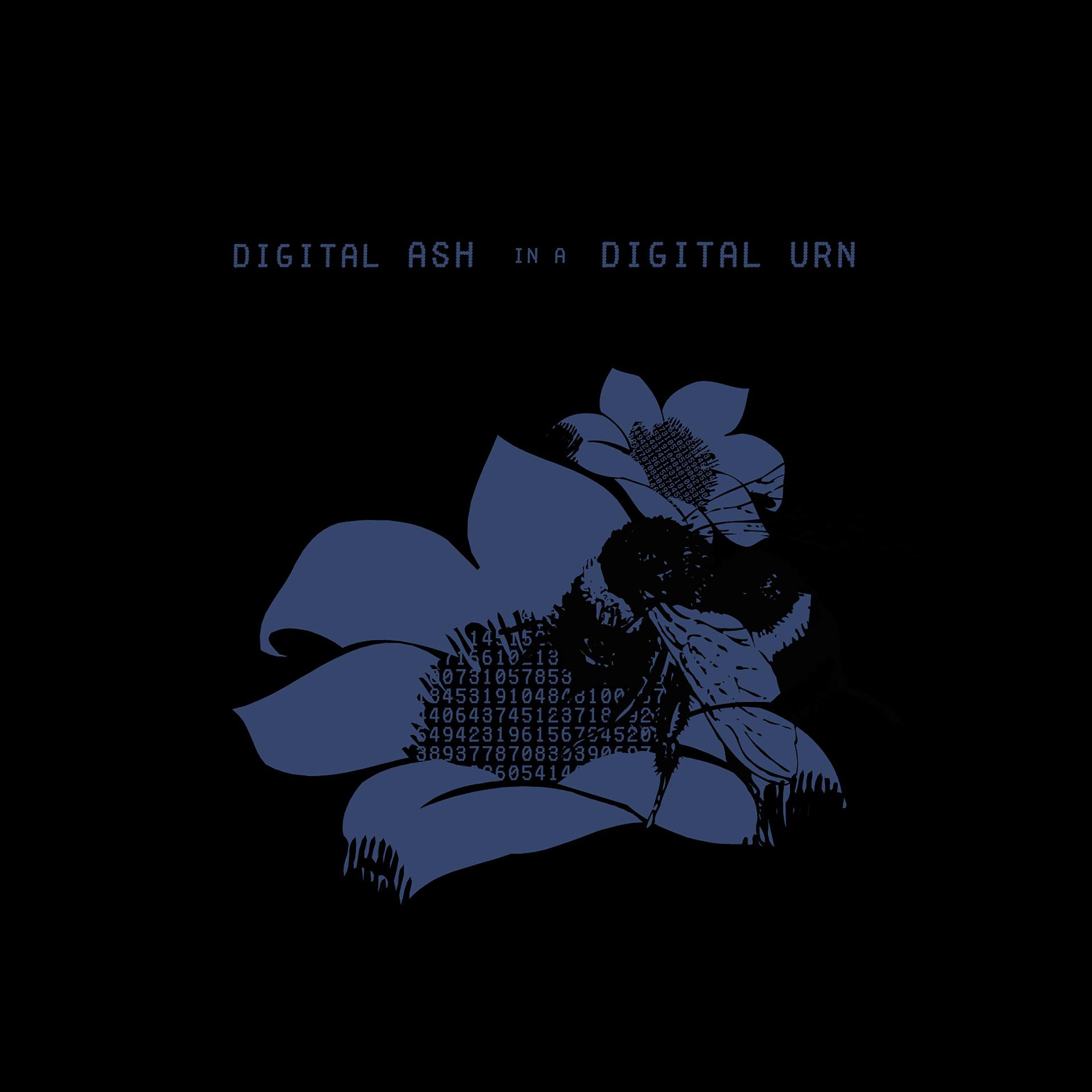 Постер альбома Digital Ash in a Digital Urn