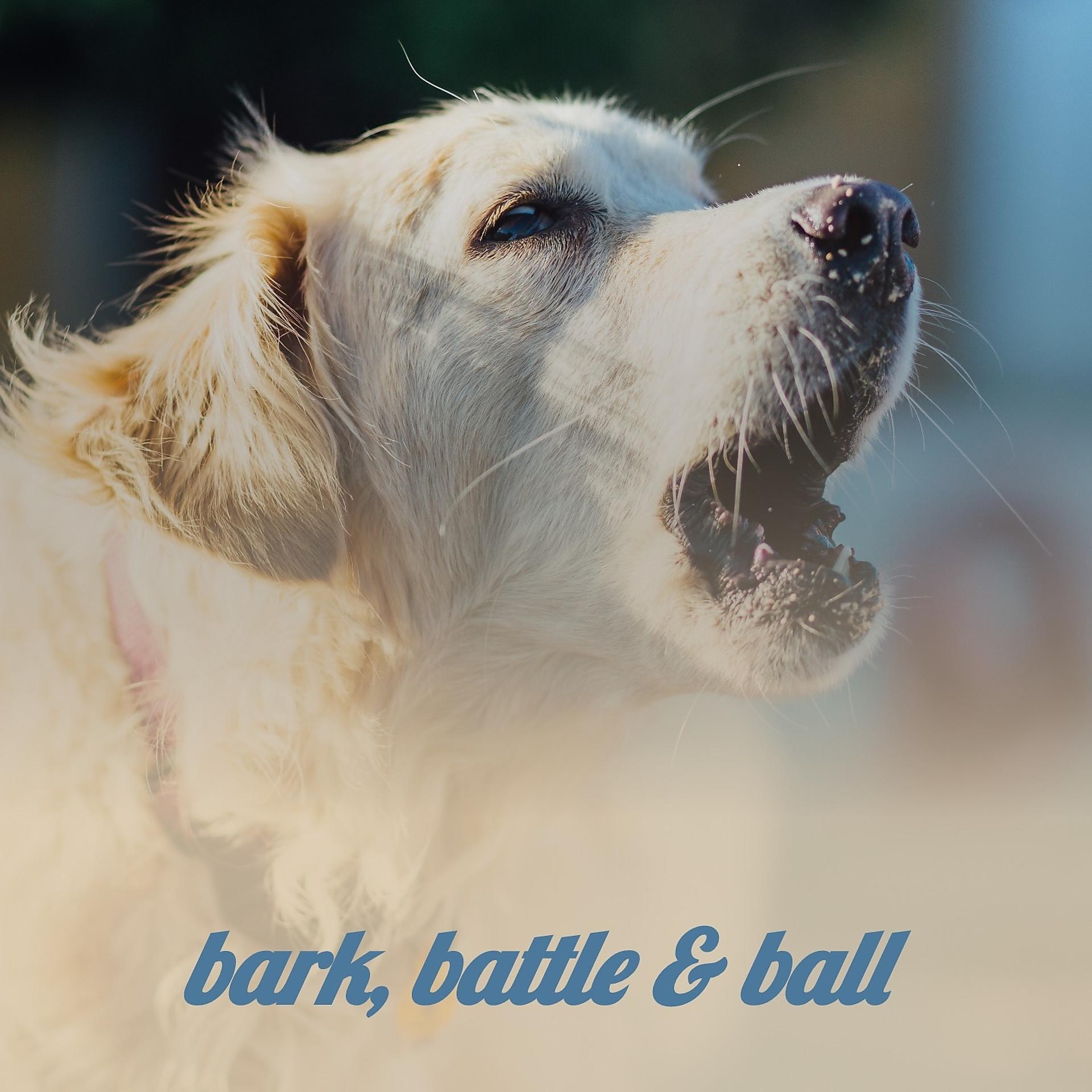 Постер альбома Bark, Battle & Ball