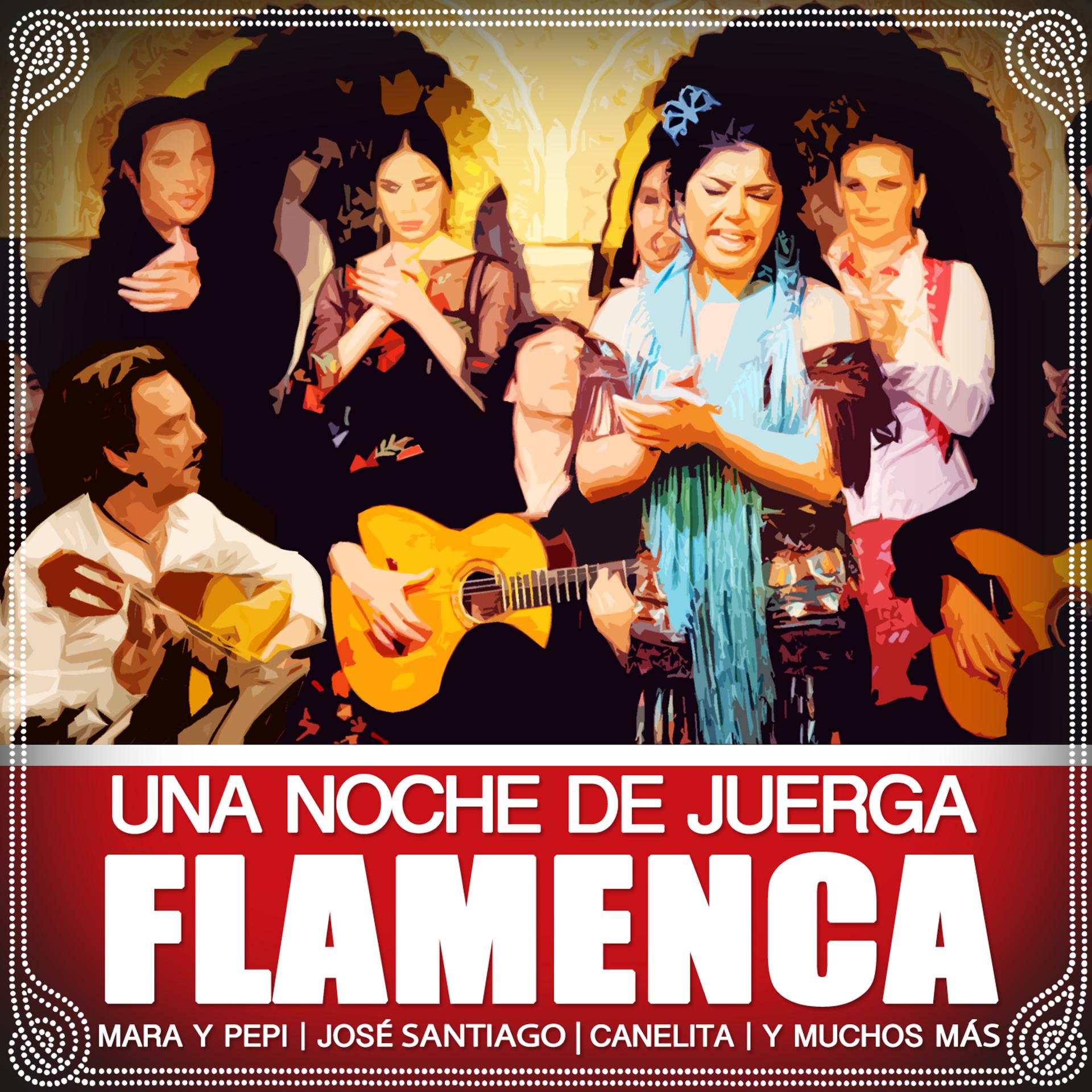 Постер альбома Una Noche De Juerga Flamenca