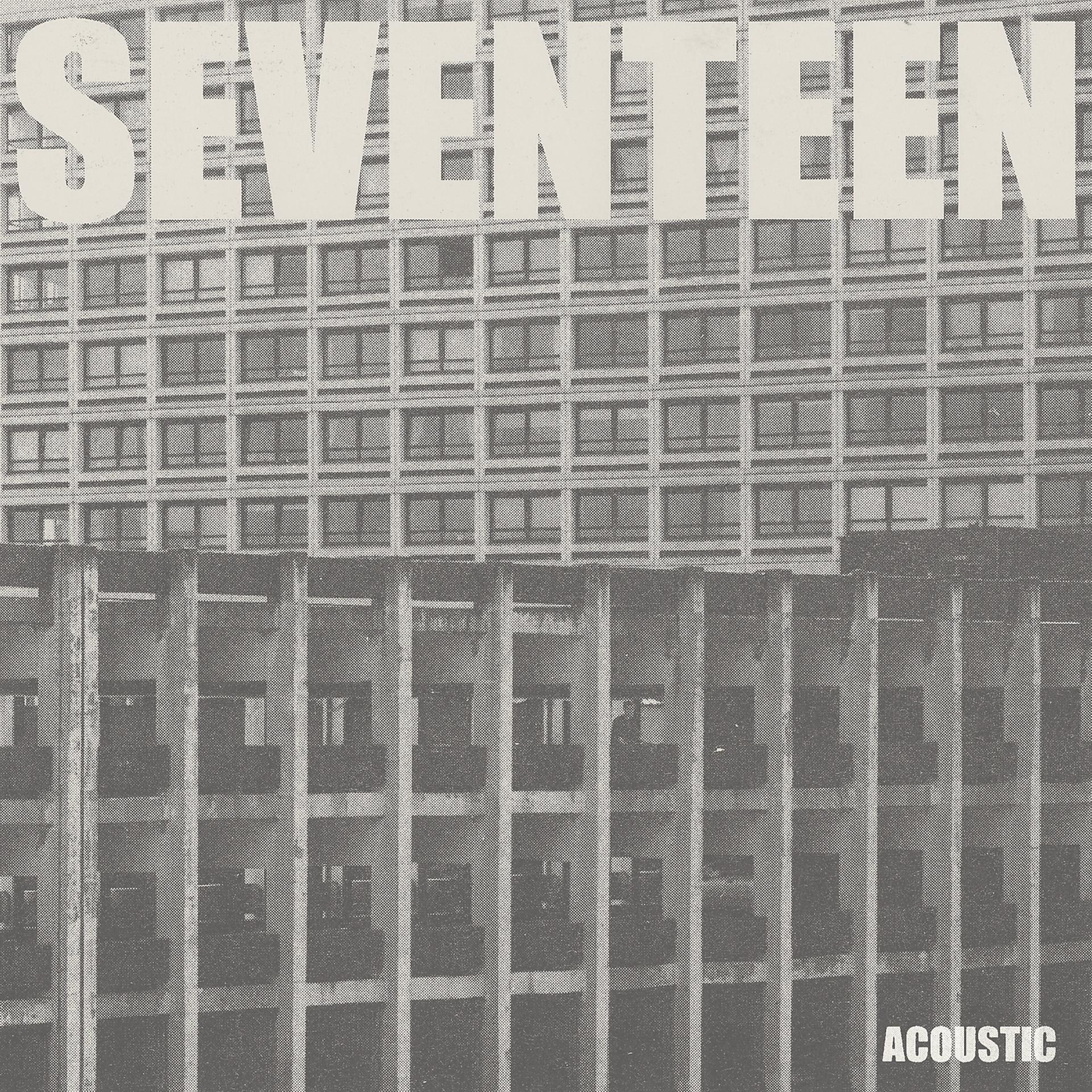 Постер альбома Seventeen Going Under