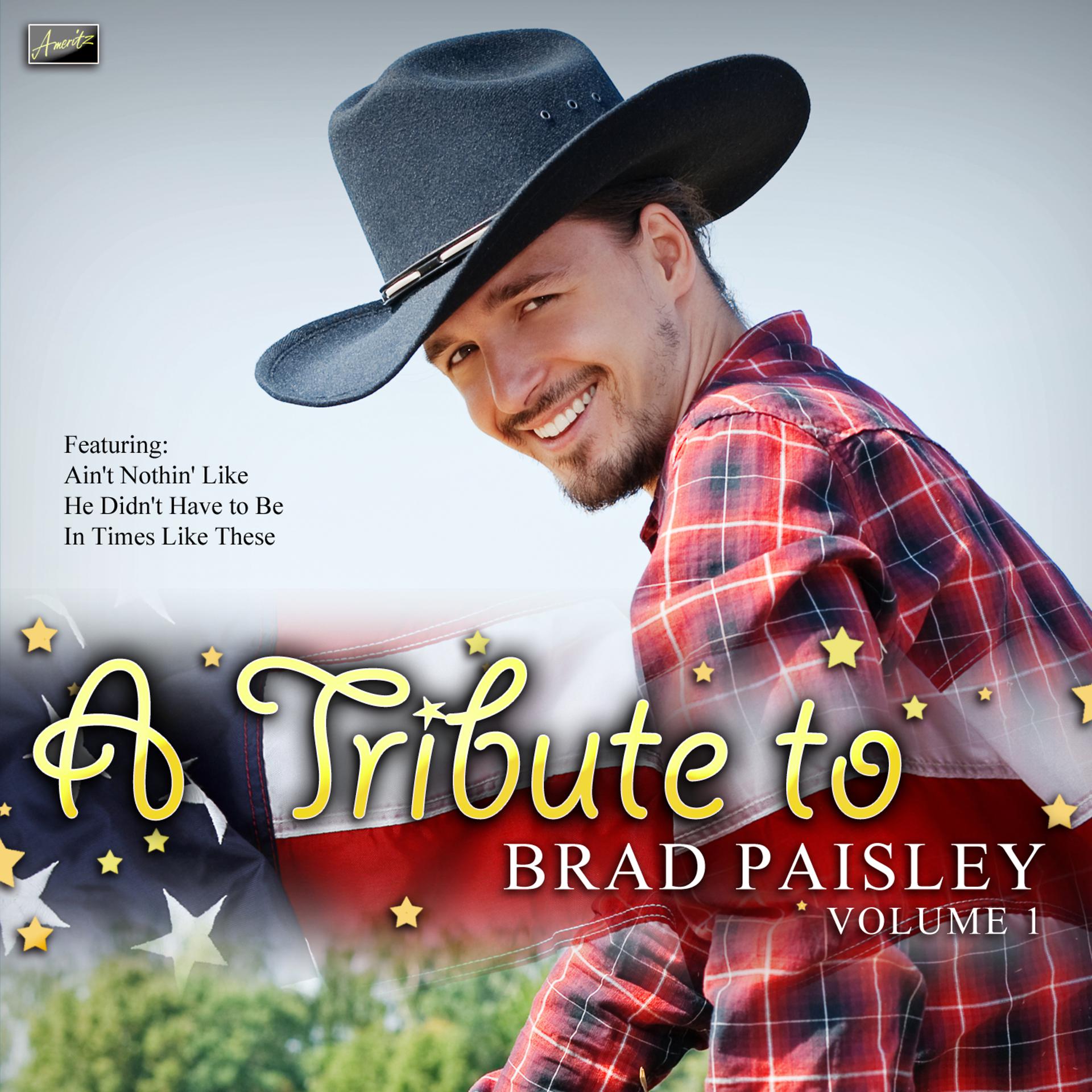 Постер альбома A Tribute to Brad Paisley Vol. 1