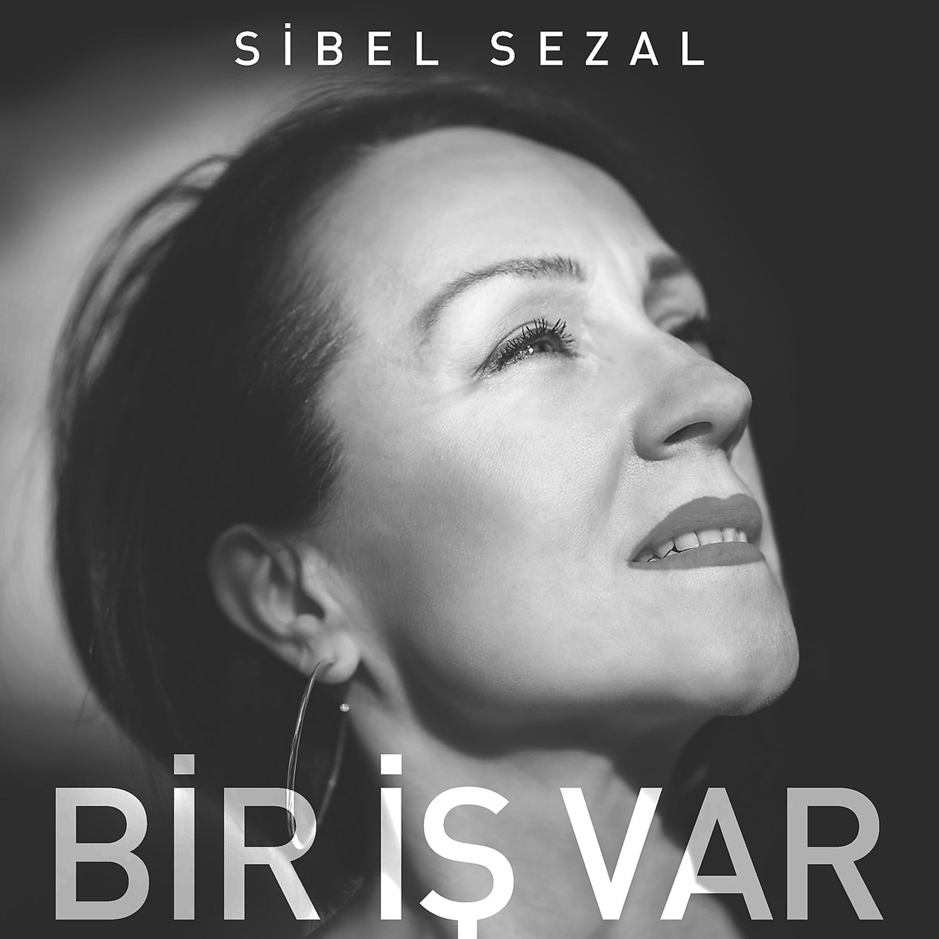 Постер альбома Bir İş Var
