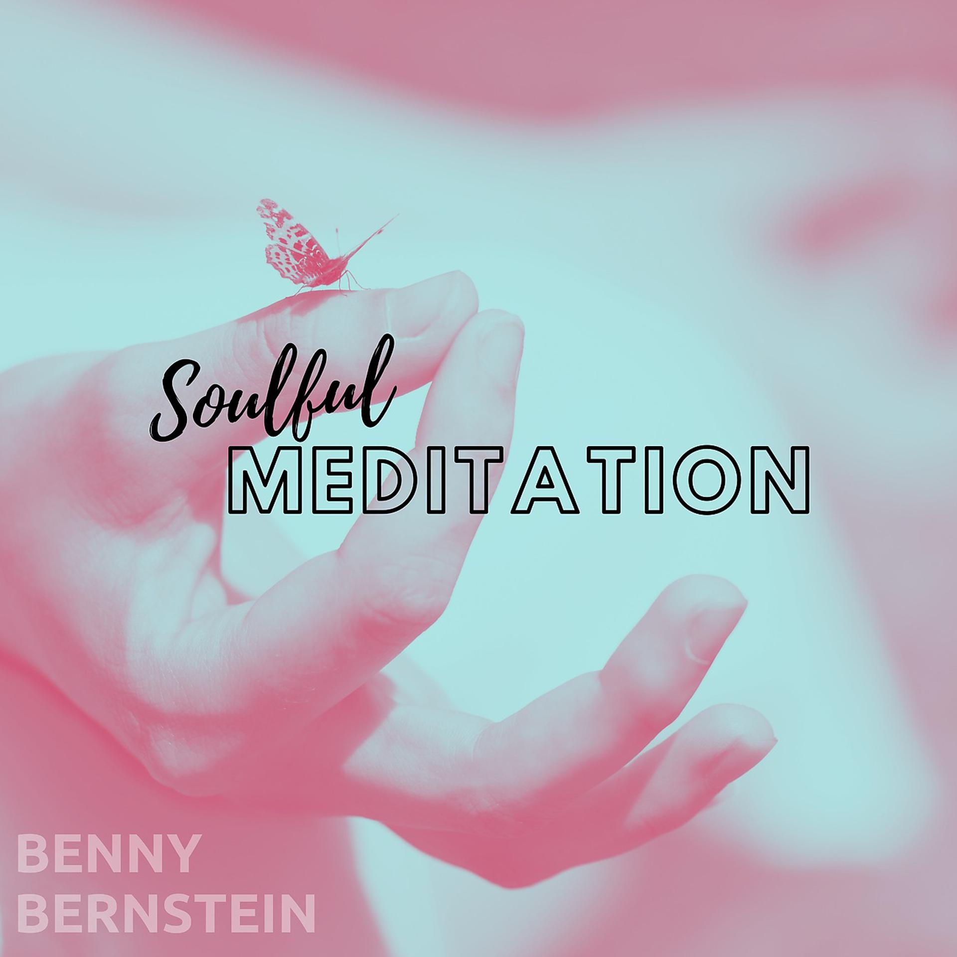 Постер альбома Soulful Meditation