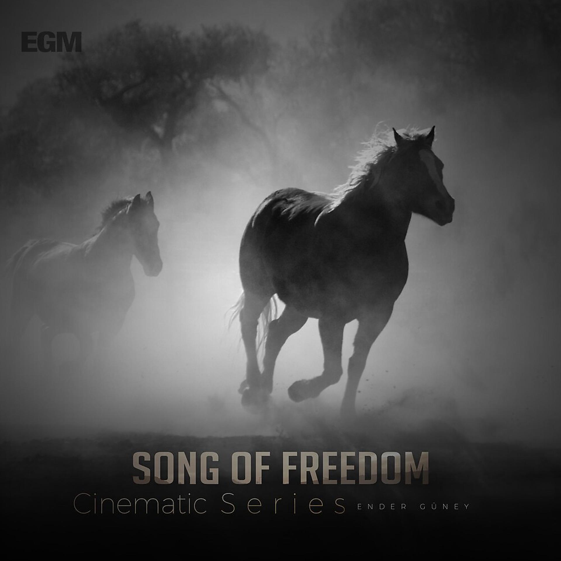 Постер альбома Song Of Freedom