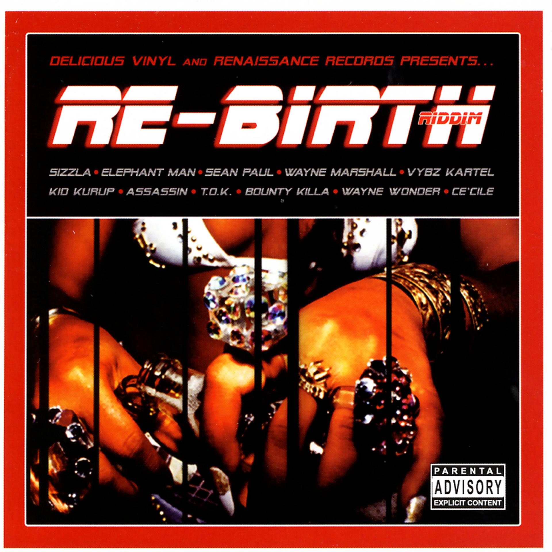 Постер альбома Re-Birth Riddim