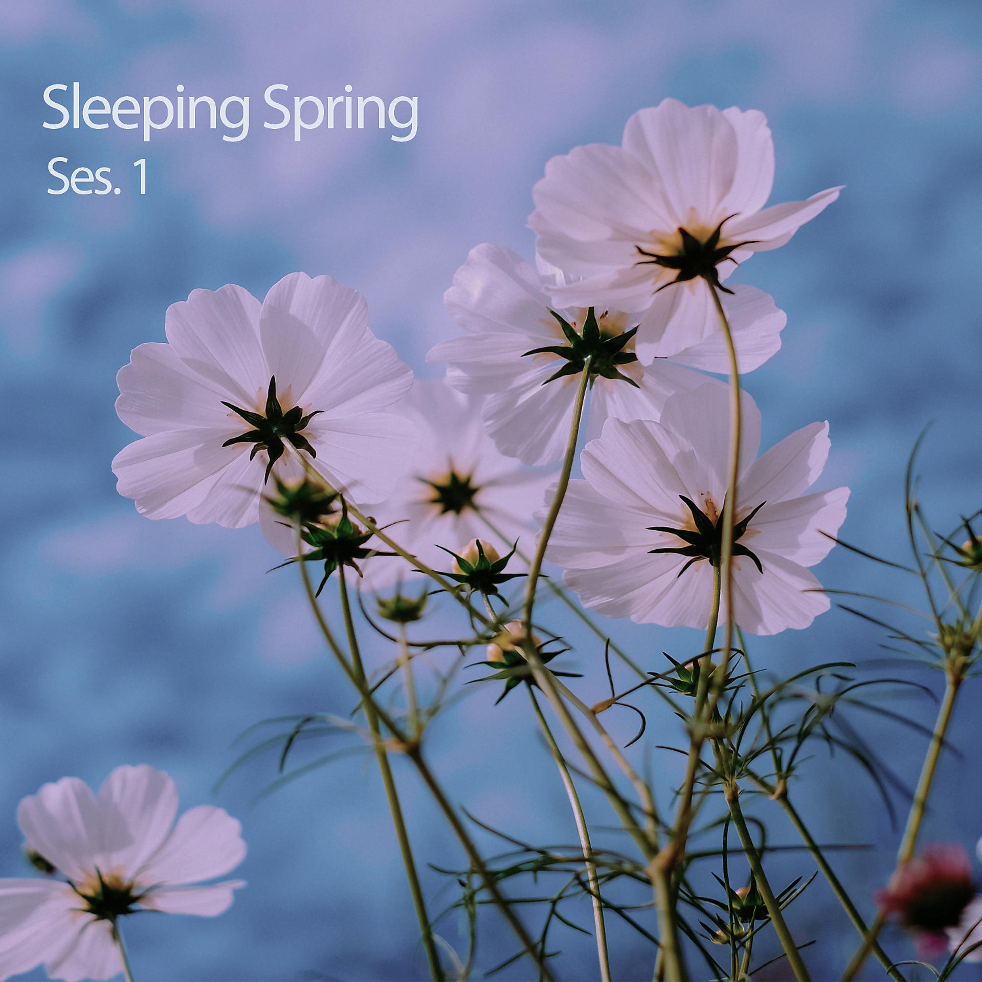 Постер альбома Sleeping Spring Ses. 1