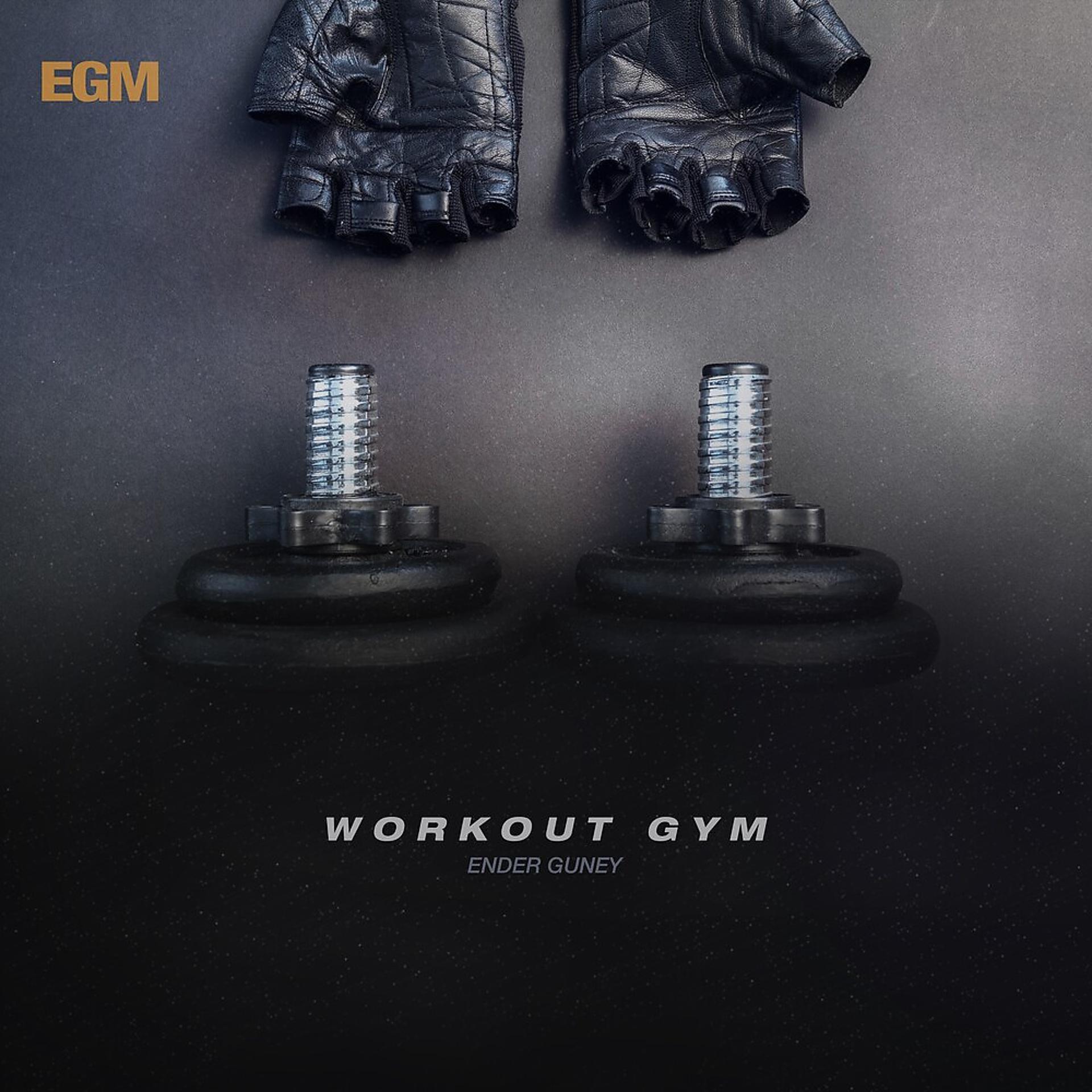 Постер альбома Workout GYM
