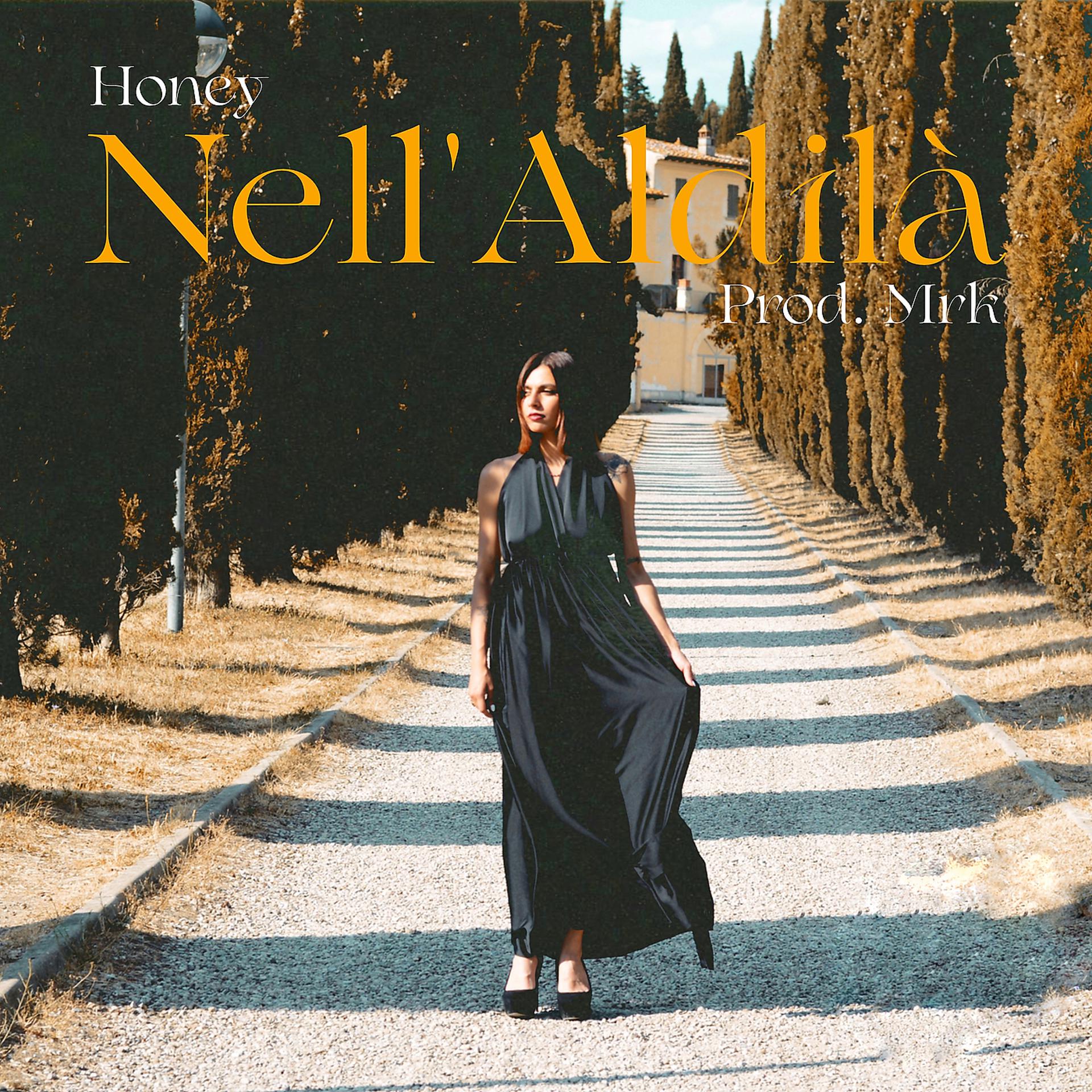 Постер альбома Nell'Aldilà