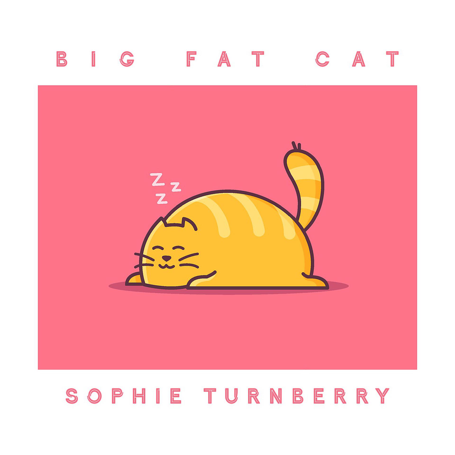 Постер альбома Big Fat Cat