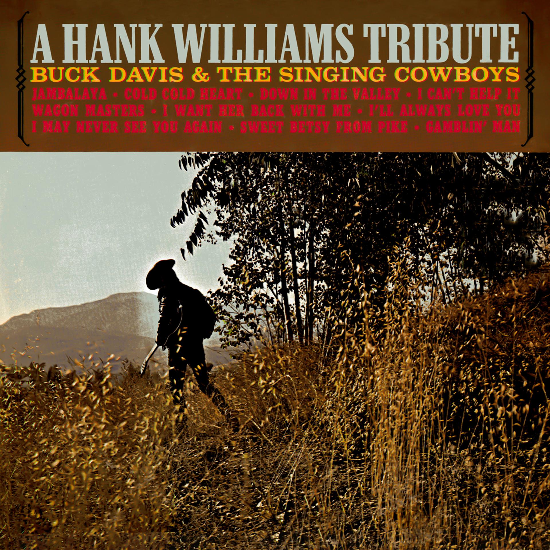 Постер альбома A Hank Williams Tribute