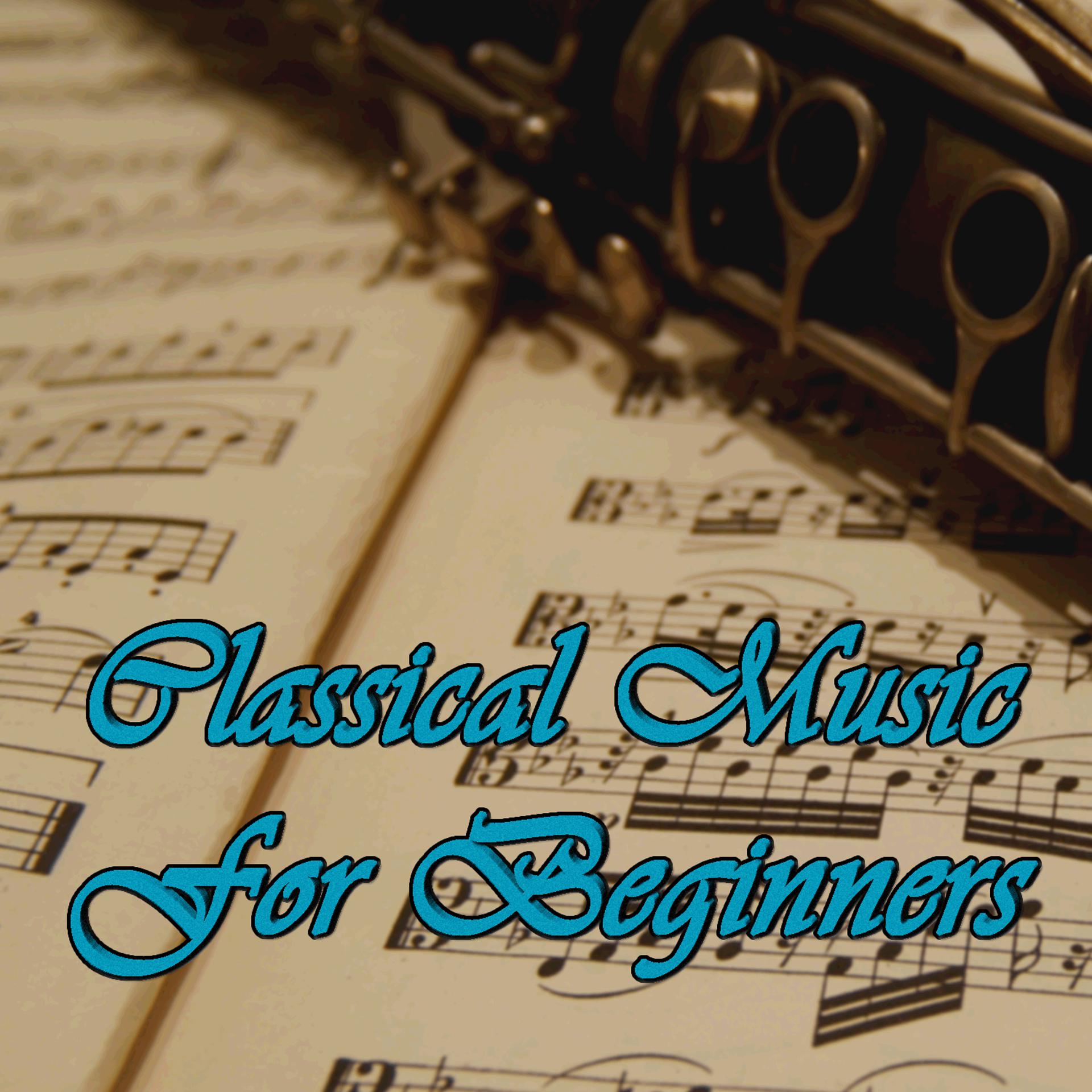 Постер альбома Classical Music for Beginners