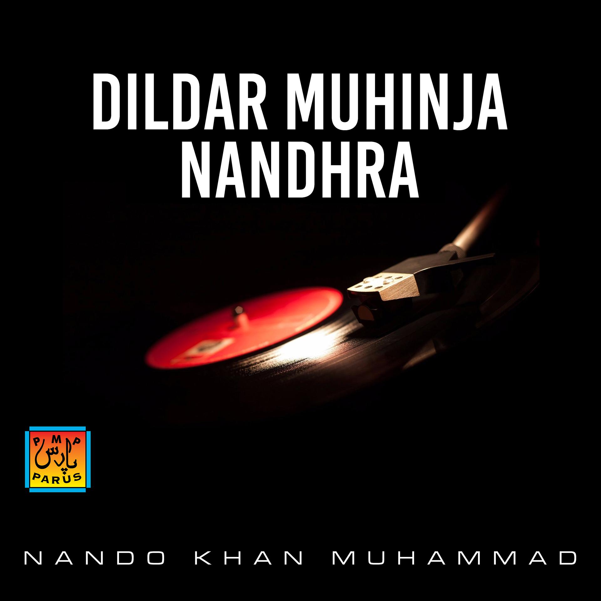 Постер альбома Dildar Muhinja Nandhra